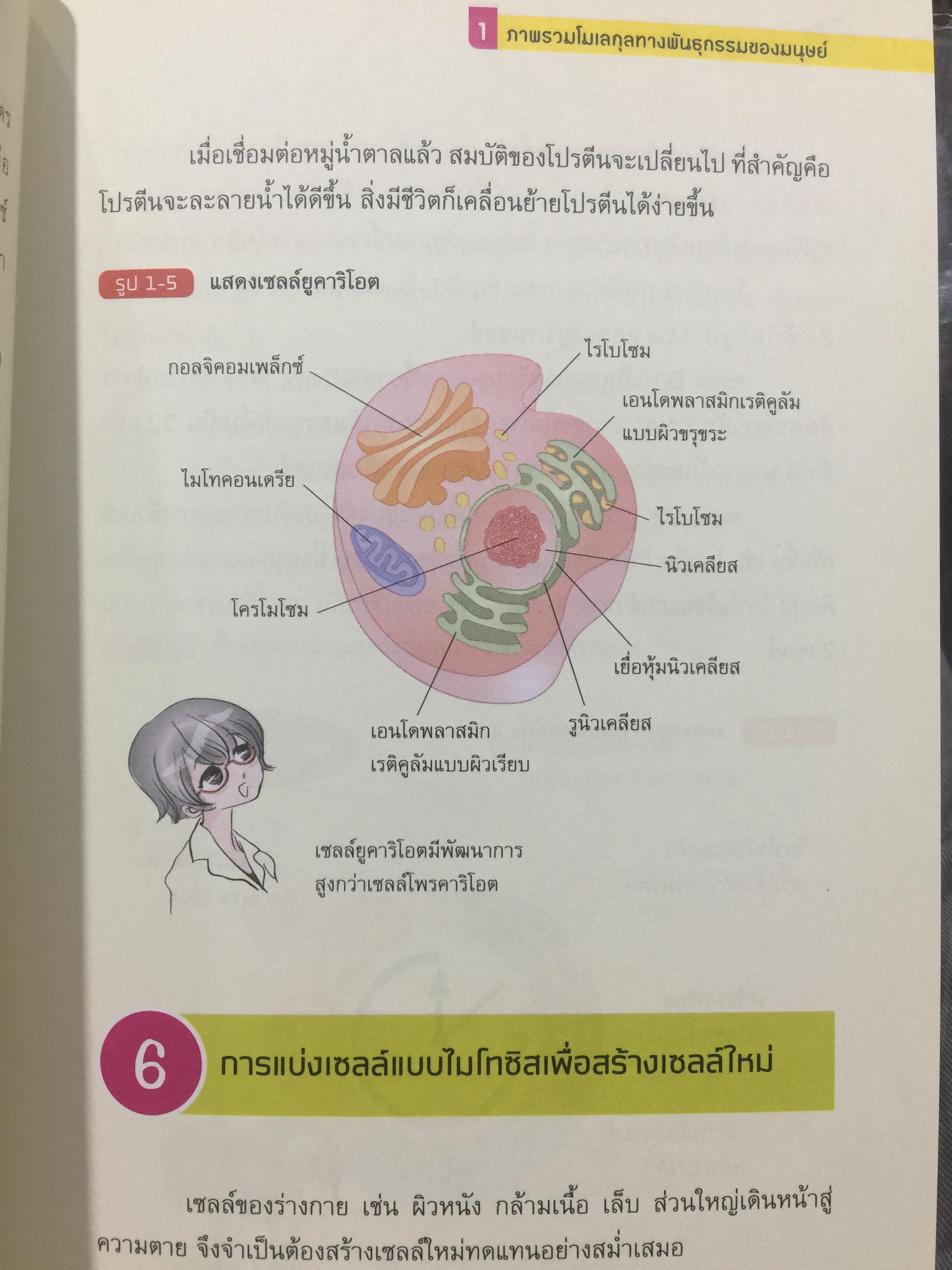 DNA ฉบับการ์ตูน. ความรู้พื้นฐานเรื่อง DNA. RNA สารพันธุกรรมในร่างกายมนุษย์ ฉบับอ่านสนุก เข้าใจง่าย อ่านสนุก โดย Satoshi. Ikuta. แปลและเรียบเรียงโดย รศ.ดร.ศักดา ดาดวง 0 กก.