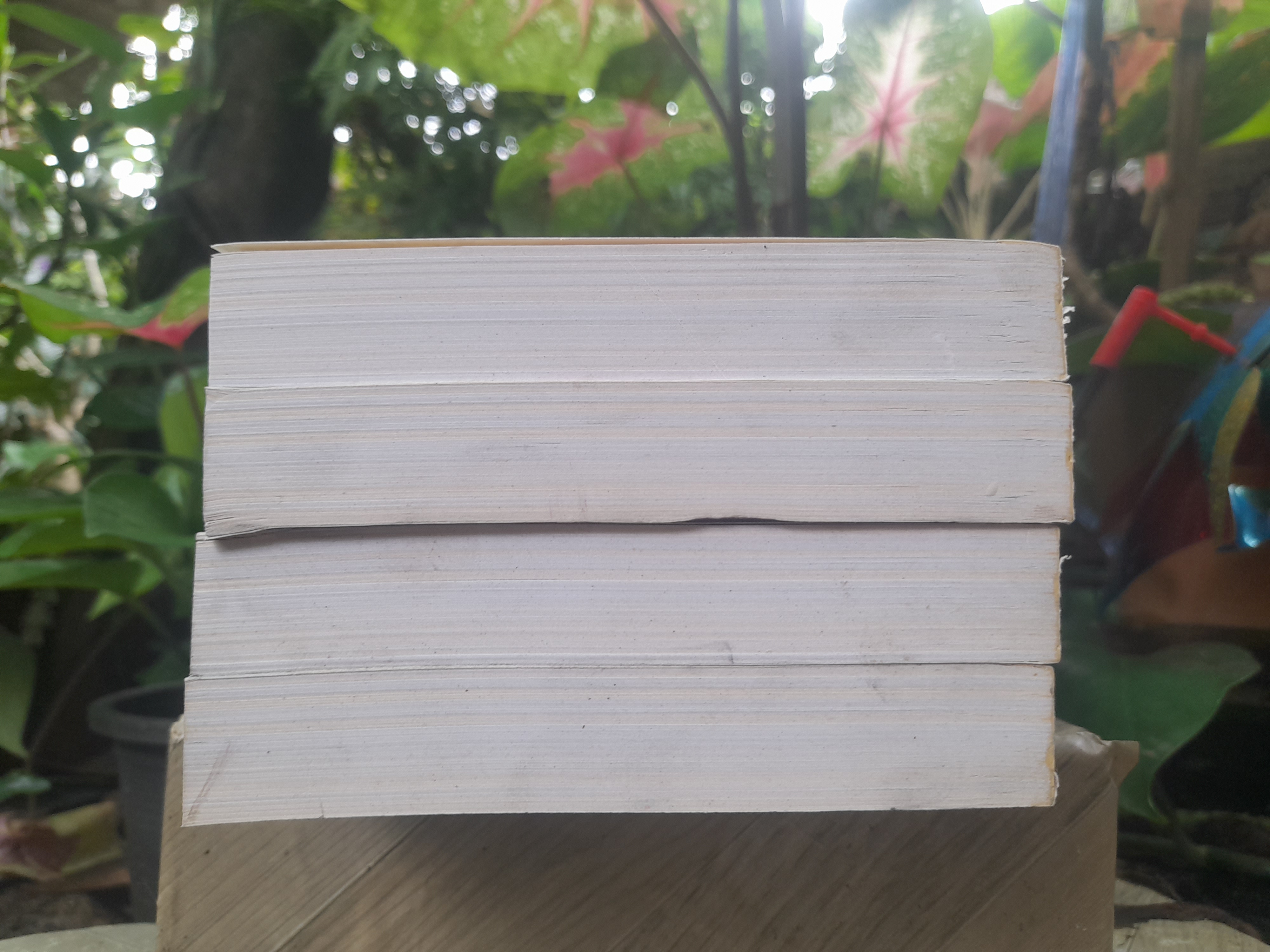 แม่ม่าย โดย จุลลดา ภักดีภูมินทร์ หนังสือมือหนึ่ง ปกอ่อน ไม่มีตำหนิ