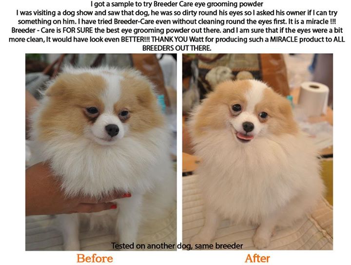 SHOW & TRAVEL KIT (SH+LH)