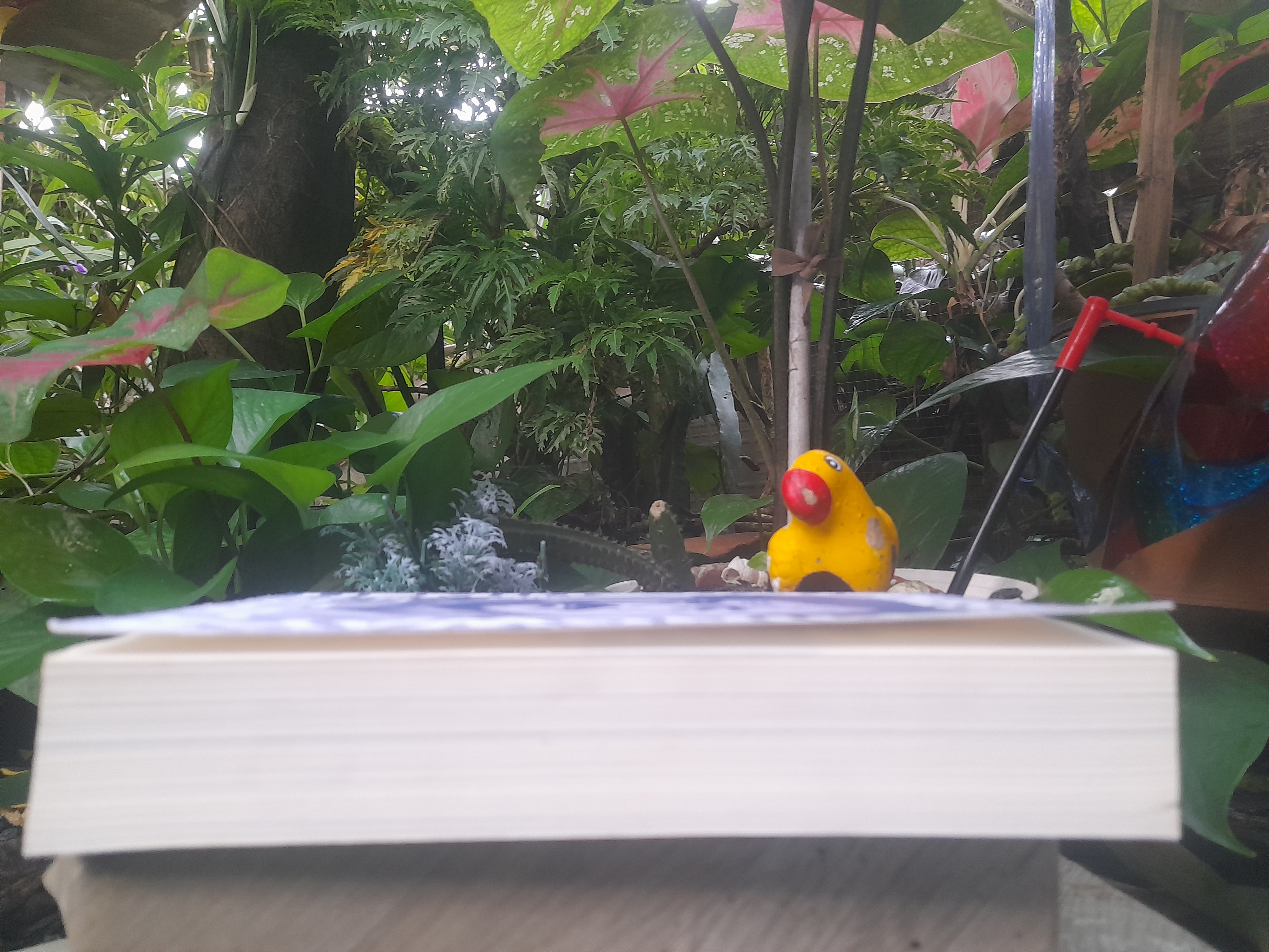 ERNEST HEMINGWAY เรื่องสั้นคัดสรร ของนักเขียนรางวัลโนเบล เฮมิงเวย์ หนังสือมือหนึ่งครับ