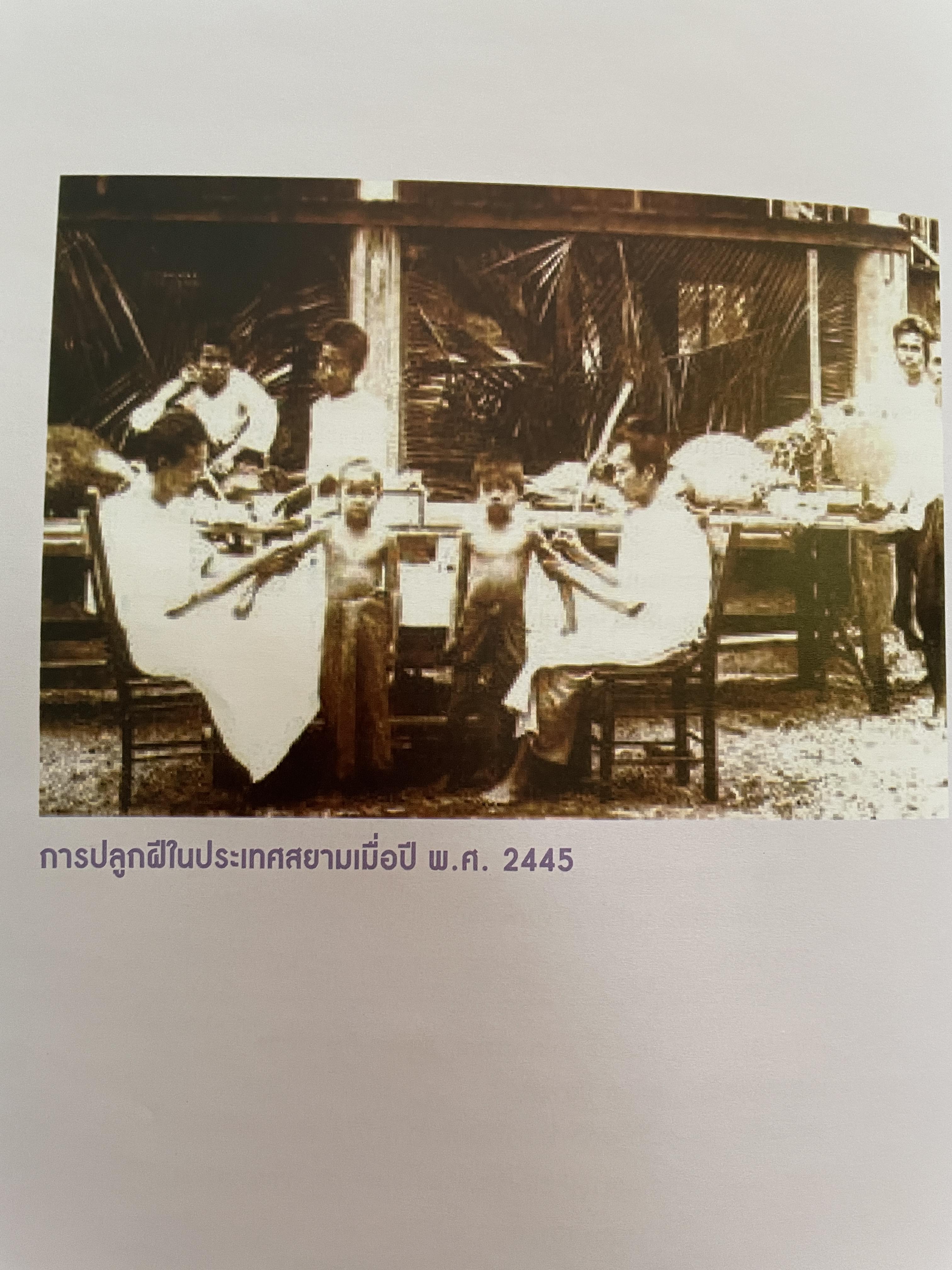 วัคซีน บรรณธิการ โอฬาร พรหมาลิขิต และคณะ 8 กก.