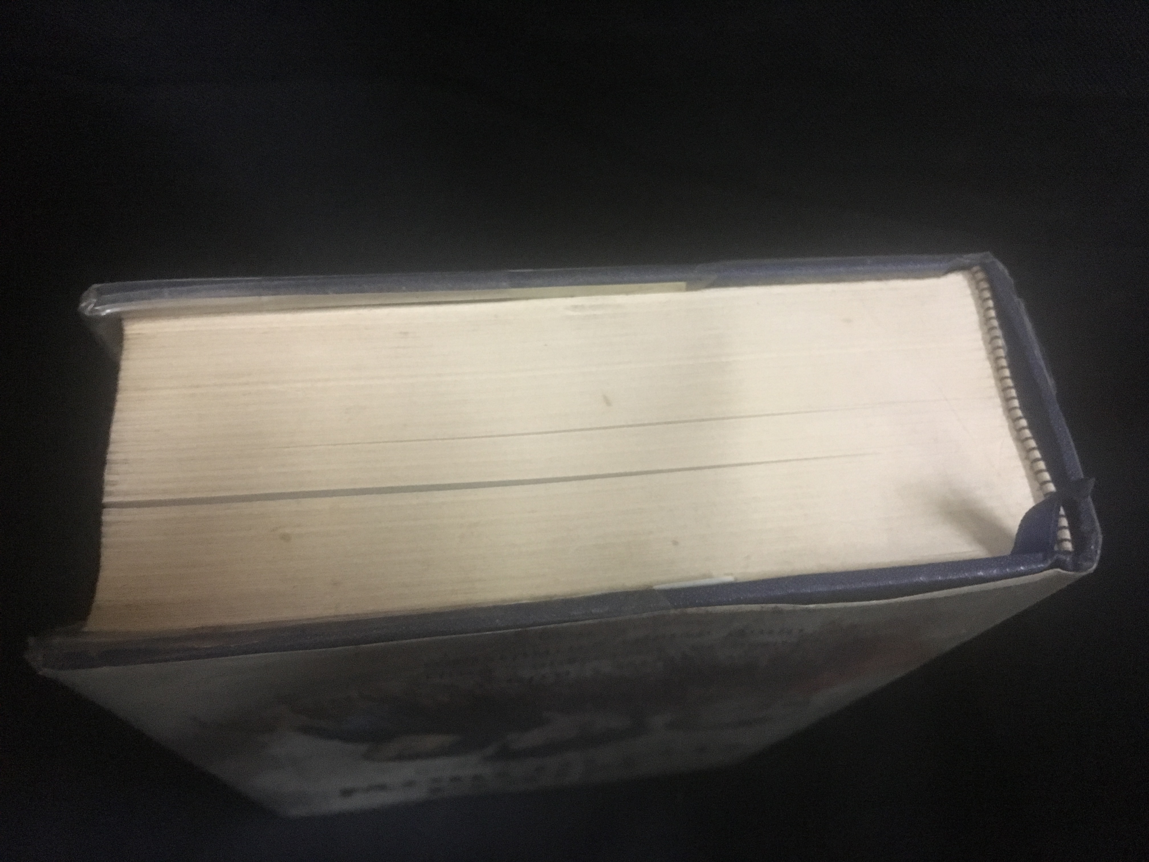 พี่น้องคารามาซอฟ (The Karamazov Brothers) ฟีโอโดร์ ดอสโตเยสกี