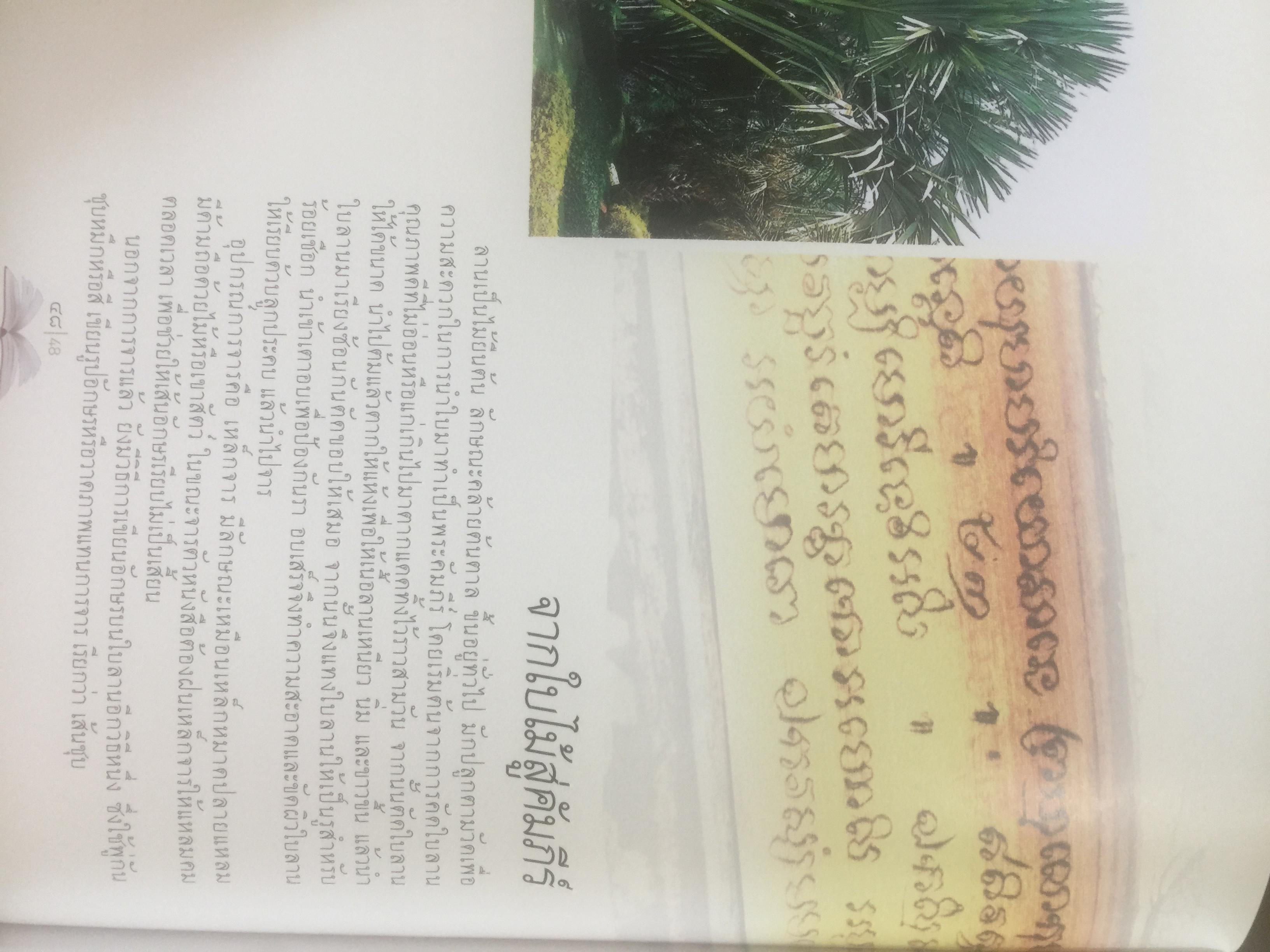 วิวัฒน์การอ่านไทย. Communicating with the Thai Alphabet from the Years Past to the Present 0 กก.