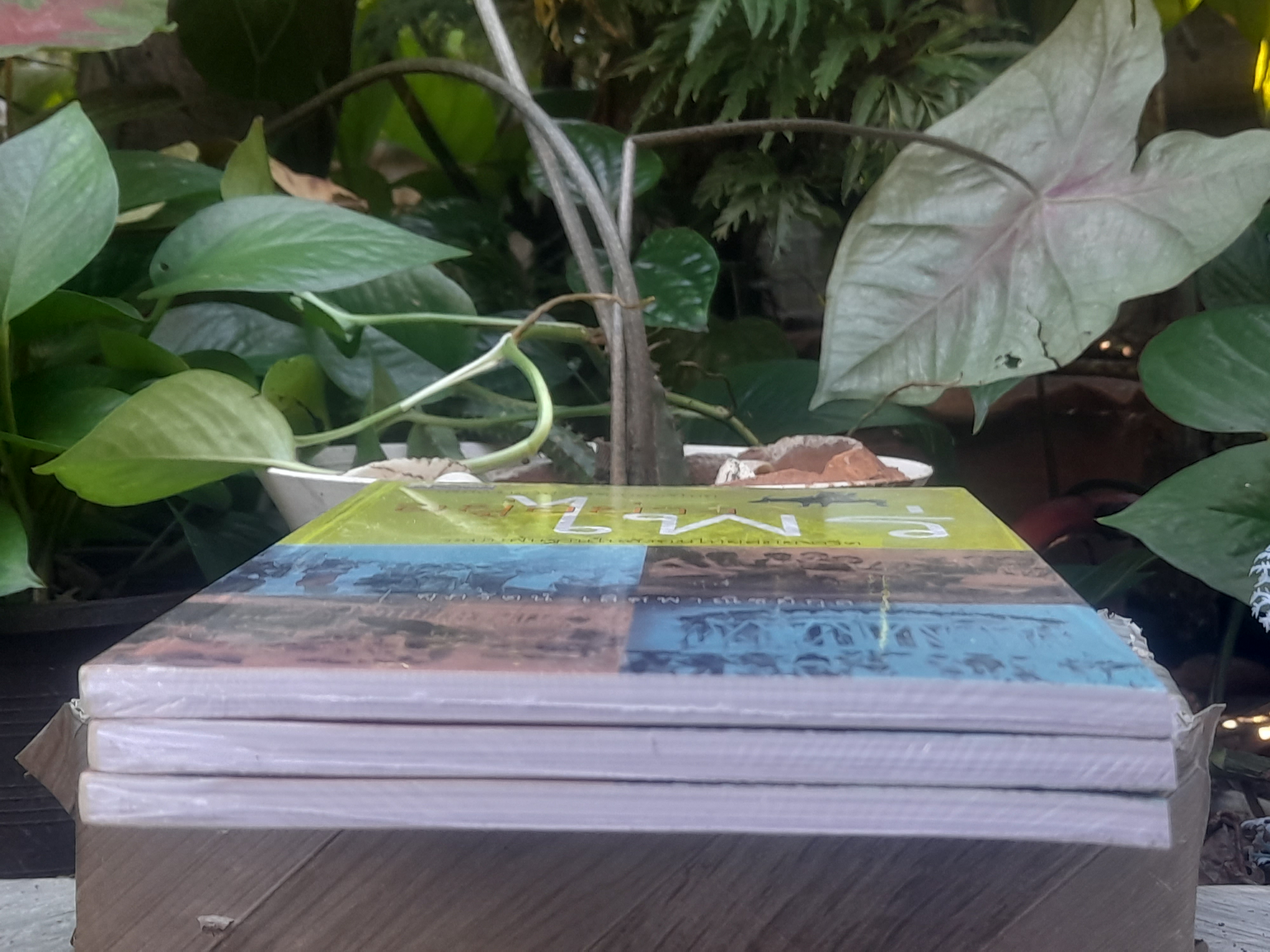 เพิ่มความรู้ประวัติศาสตร์ไทย อยู่อย่างไพร่ ระบบพื้นฐานในสังคมไทยสมัยจารีต โดย ศุภรัตน์ เลิศพาณิชย์กุล หนังสือมือหนึ่งในซีล