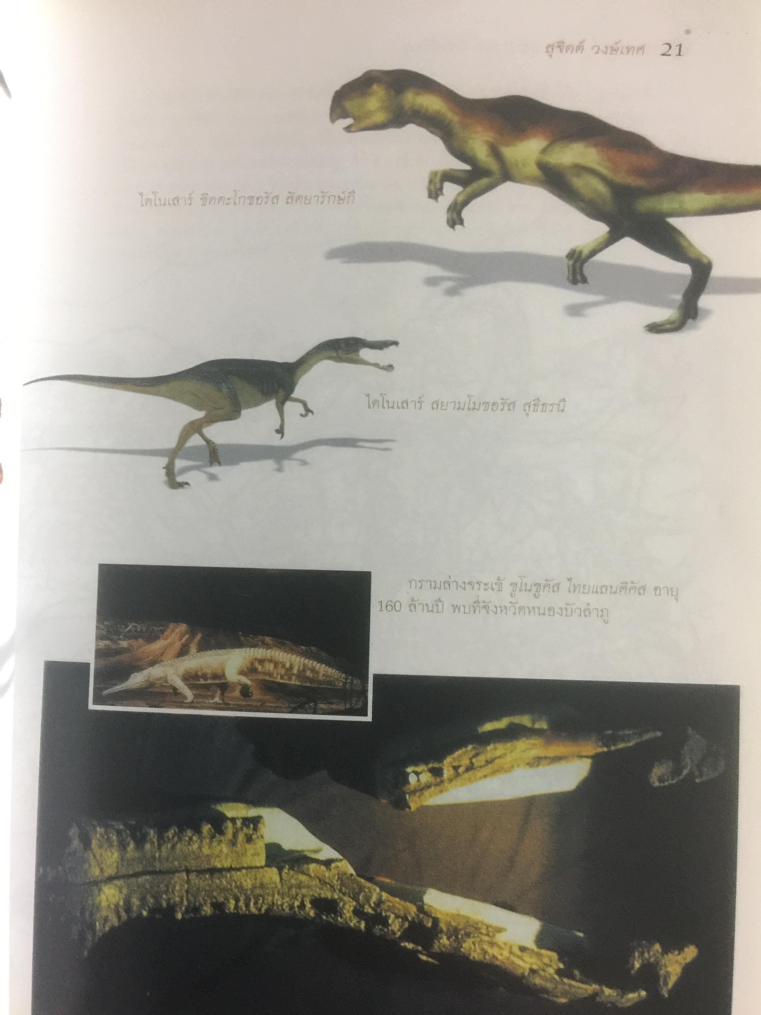 สุวรรฯภูมิ ต้นกระแสประวัติศาสตร์ไทย. เป็นหนังสือชุดศิลปวัฒนธรรมฉบับพิเศษ ผู้เขียน สุจิตต์ วงษ์เทศ 0 กก.
