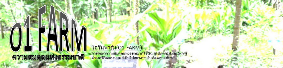 โอวันฟาร์ม