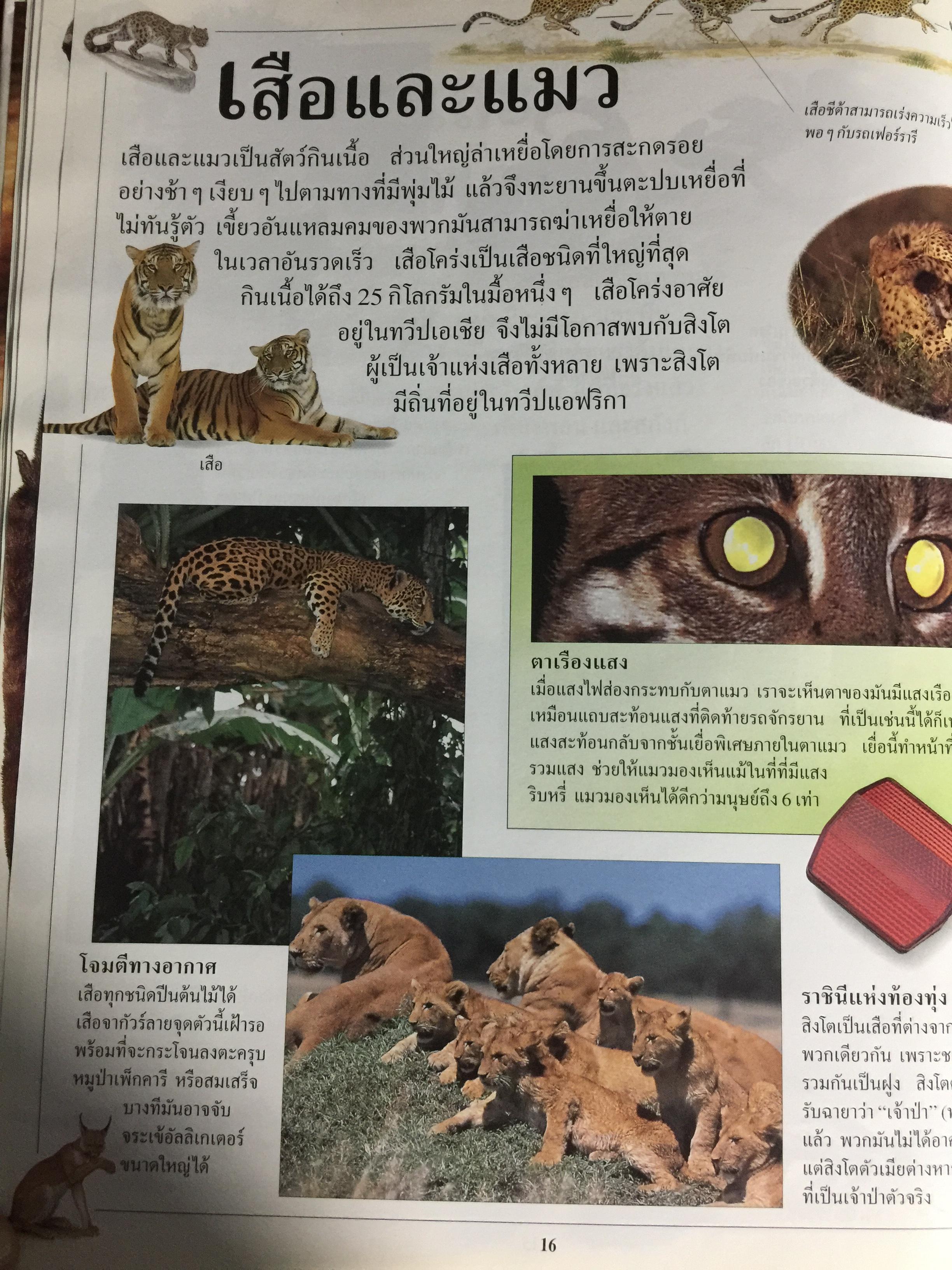 สัตว์เลี้ยงลูกด้วยนม. หนังสือเด็กรักลูก ห้องสมุดแสนสนุก ค้นพบโลกแห่งความมหัศจรรย์ด้วยภาพตื่นตาเร้าใจพร้อมเรื่องน่ารู้ชวนติดตาม 0 กก.