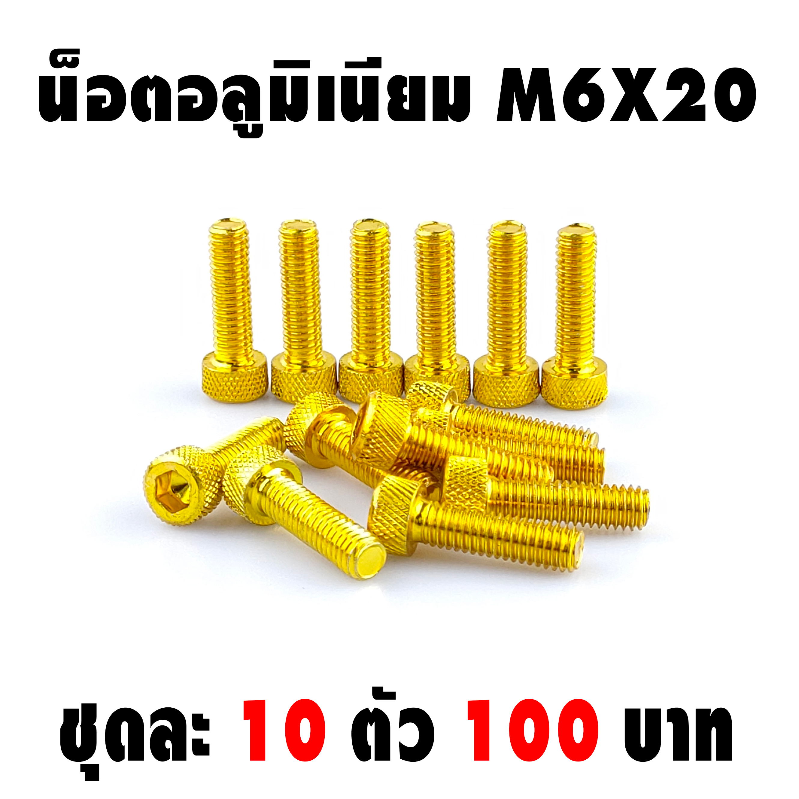น็อตแต่ง อลูมิเนียม 6*20 (เบอร์ 10) ชุดละ 10 ตัว ราคา 100 บาท