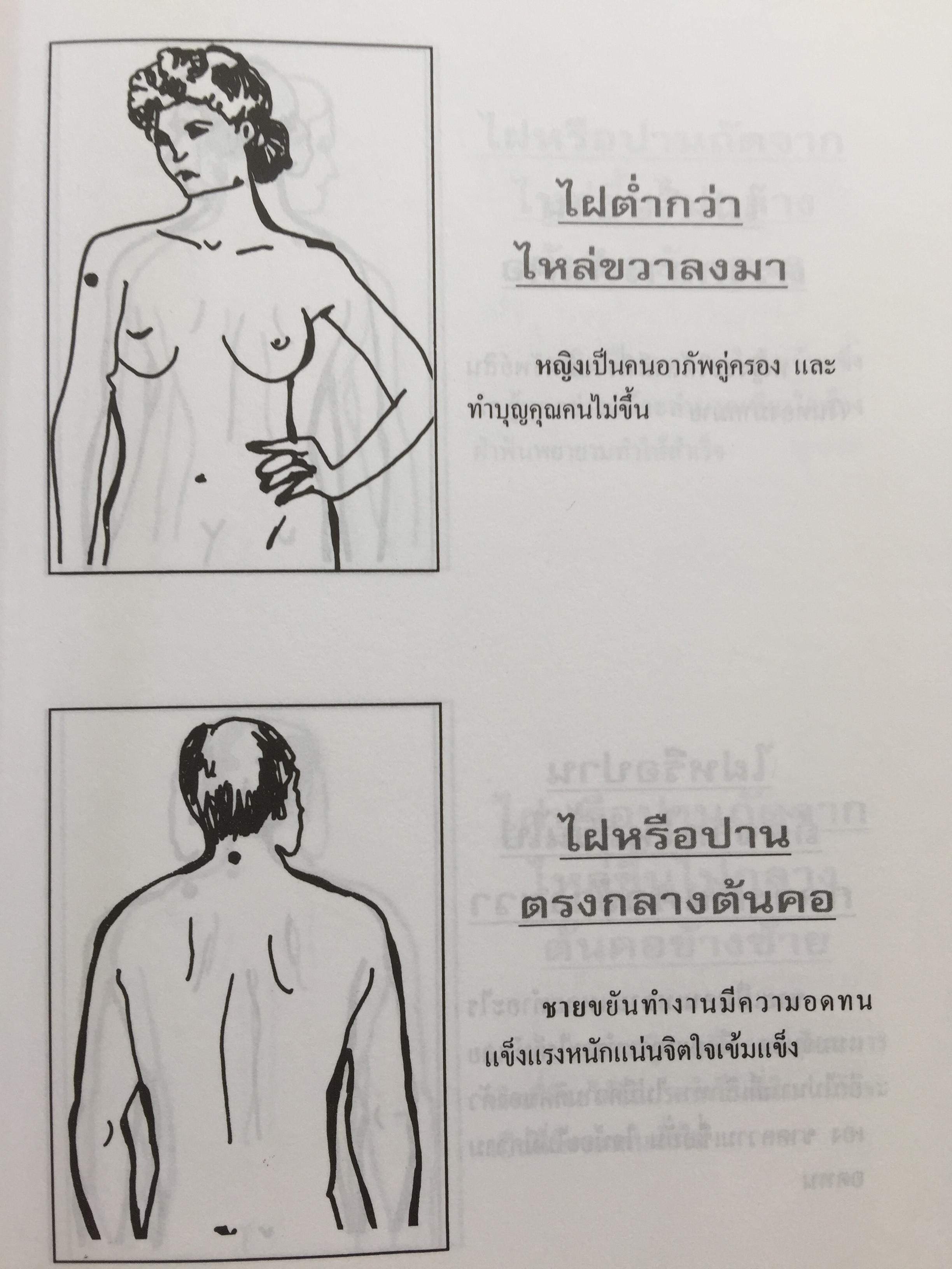 1)ลายมือคือตัวแทนของคุณ. ลักษณ์ เรขานิเทศ 2) แนะลายเส้นบนฝ่ามือ เสน่ห์ ชูกุล. 3)โหรใหญ่คุยเฟื่องเรื่องลายมือ บัญชา เลิศธนู 4) ทำนายลายมือ ทำนายปาน-ไฝ ทายใจ ทำนายอนาคต. ส.วิษณุรักษ์ 0 กก.