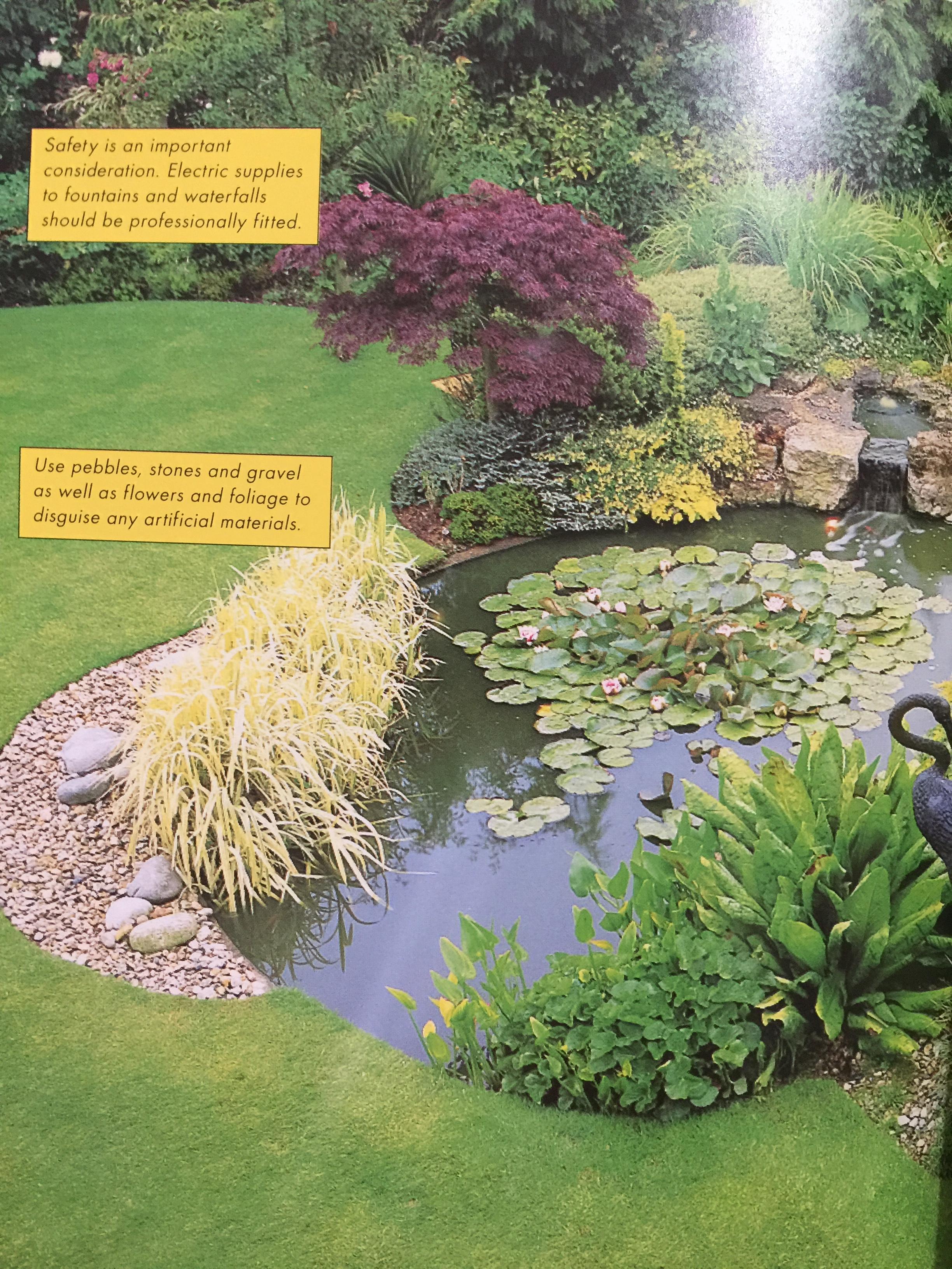 FENG SHUI. FOR THE GARDEN. A PRACTICAL AND EASY TO USE GUIDE TO THE ART OF. FENG. SHUI. IN THE GARDEN ผู้เขียน Jonathan Dee 0 กก.