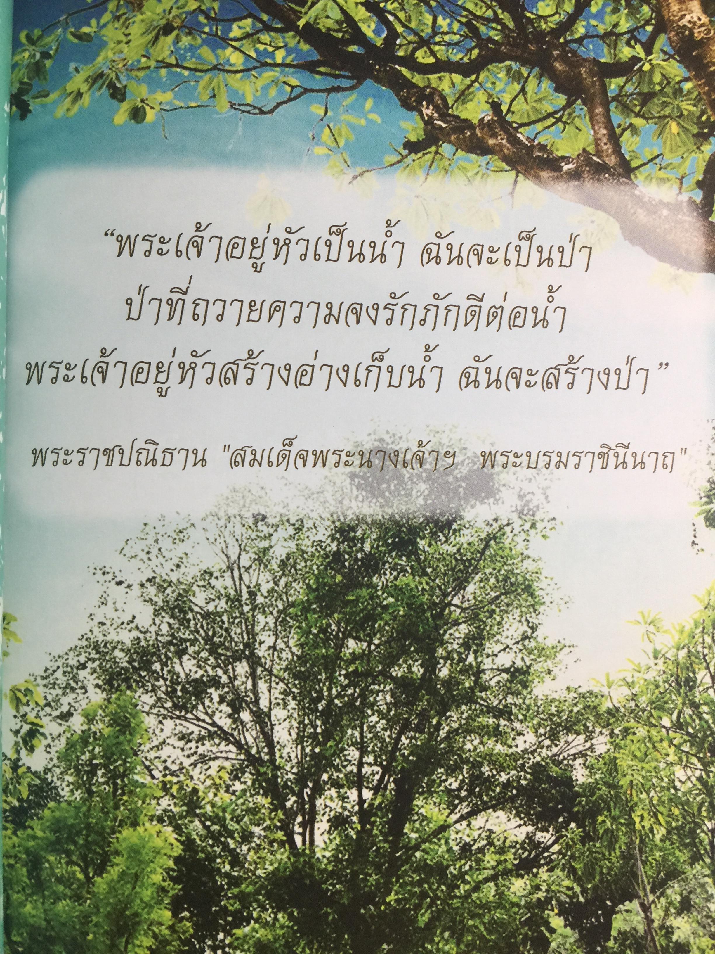 ยาสูบไทย หัวใจสีเขียว. พรรณไม้มงคลประจำจังหวัด สวนป่าเบญจกิติ 0 กก.