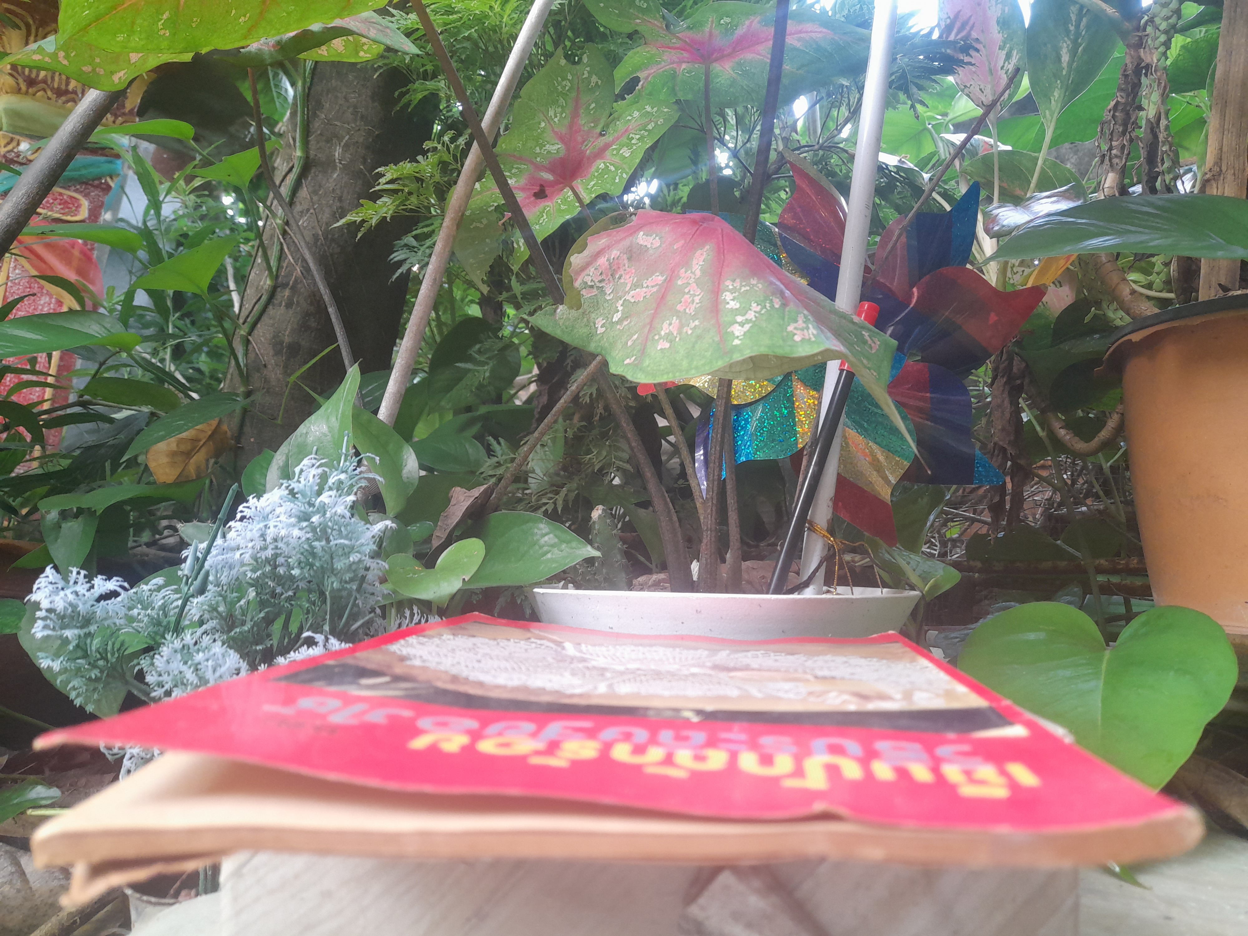 หนังสือเย็บปักถักร้อย และ วิธีประดิษฐ์ของใช้ โดย ดรรชนี