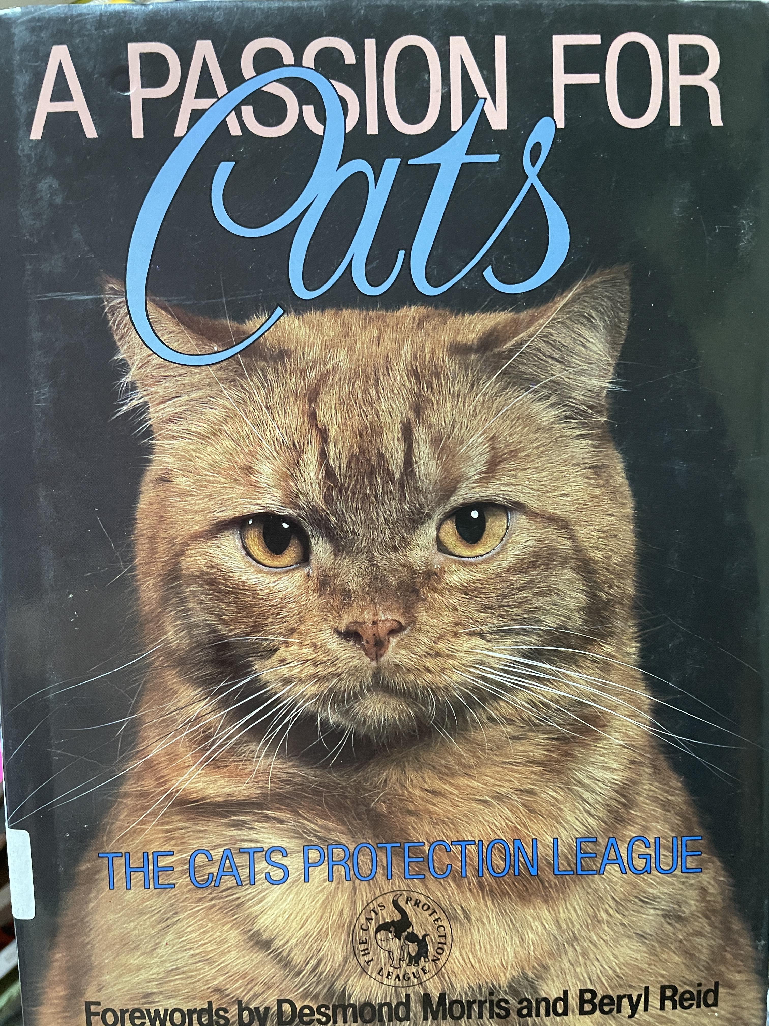A. PASSION. FOR. CATS. THE. CATS. PROTECTION LEAGUE 4 กก.