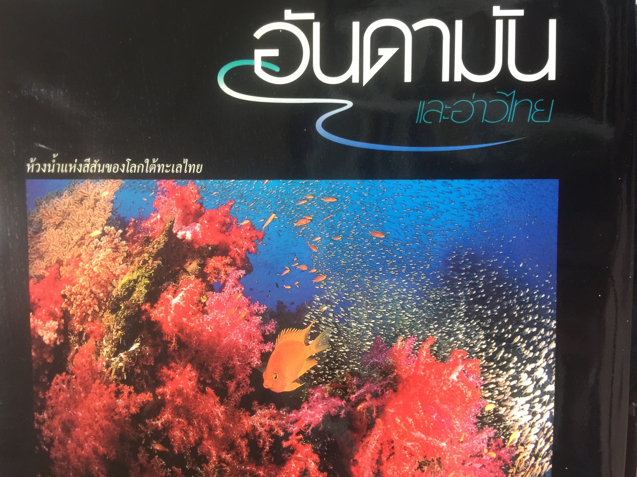 อันดามัน และอ่าวไทย ห้วงน้ำแห่งสีสันของโลกใต้ทะเลไทย. จัดทำโดย การท่องเที่ยวแห่งประเทศไทย 0 กก.