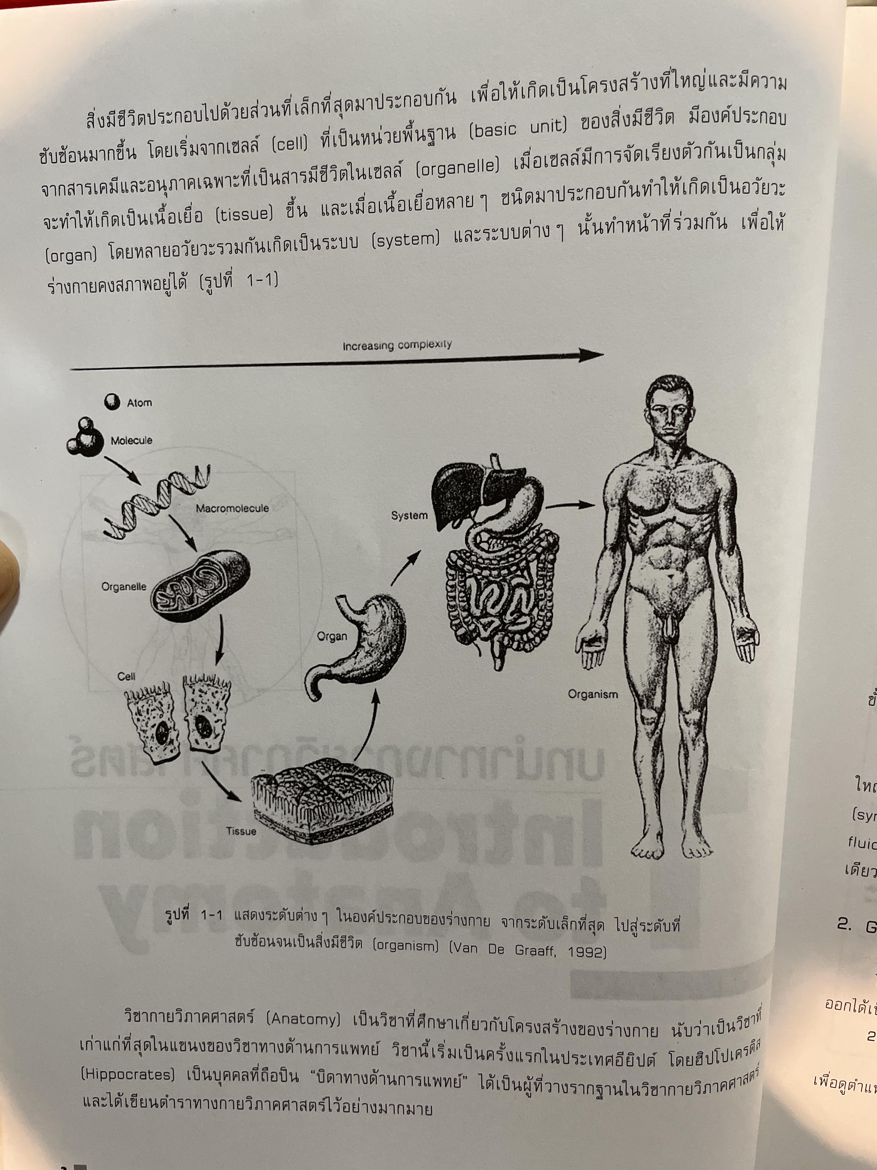 กายวิภาคศาสตร์ 1 ANATOMY. 1. ผู้เขียน บังอร ฉางทรัพย์ สำนักพิมพ์แห่งจุฬาลงกรณ์มหาวิทยาลัย 8,500 กรัม