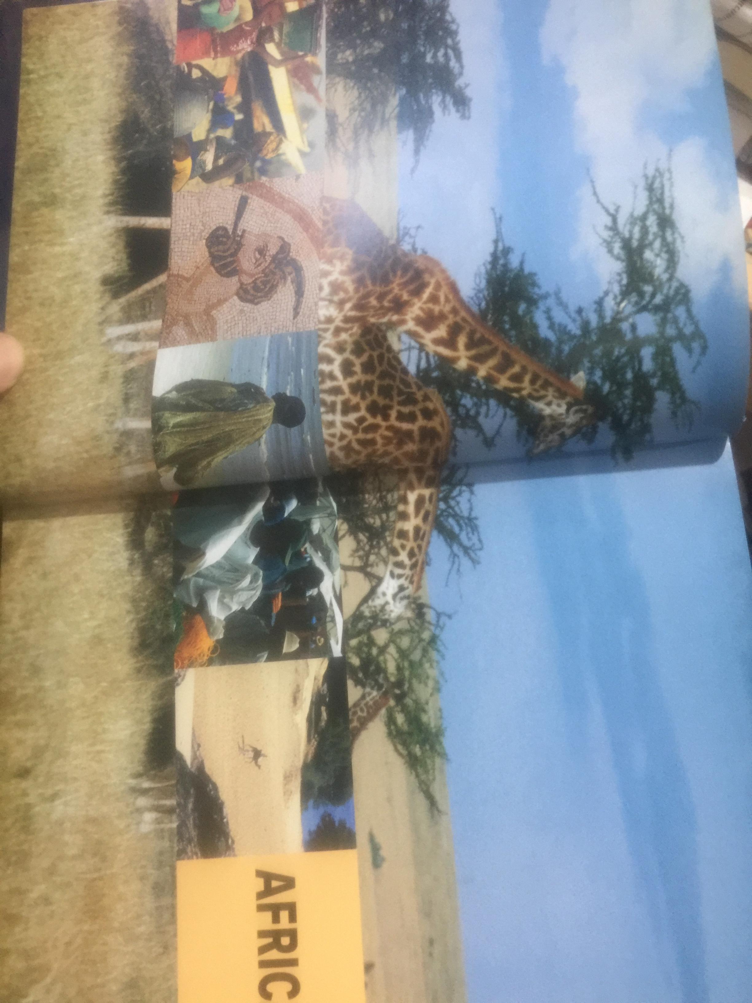 501. MUST-VISIT. DESTINATIONS. 0 กก.