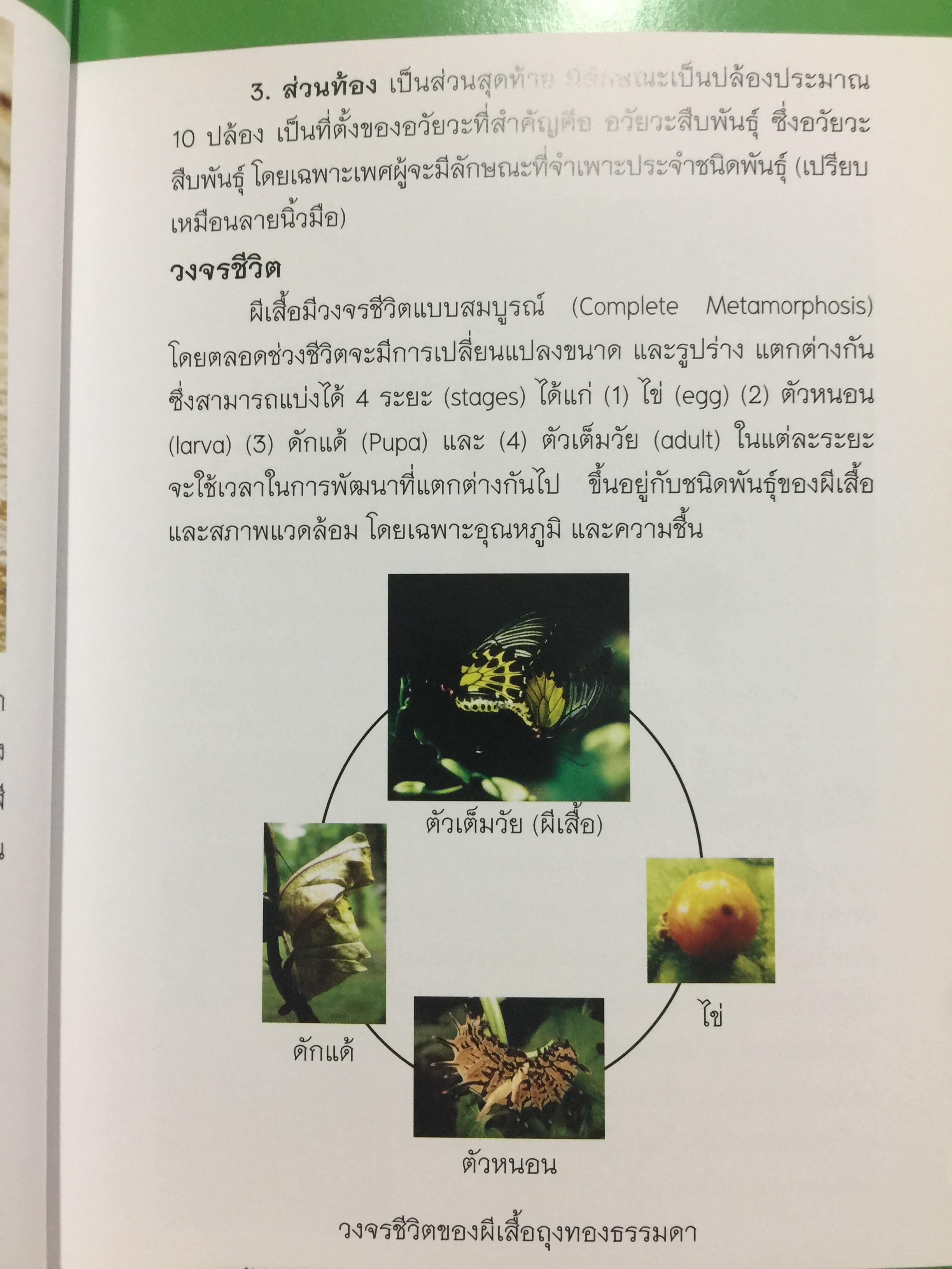 บันทึกผีเสื้อ 2. BUTTERFLIES AND SKIPPERS จัดทำโดย สำนักวิจัยการอนุรักษ์ป่าไม้และพันธุ์พืช กรมอุทยานแห่งชาติ สัตว์ป่าและพันธุ์พืช 0 กก.