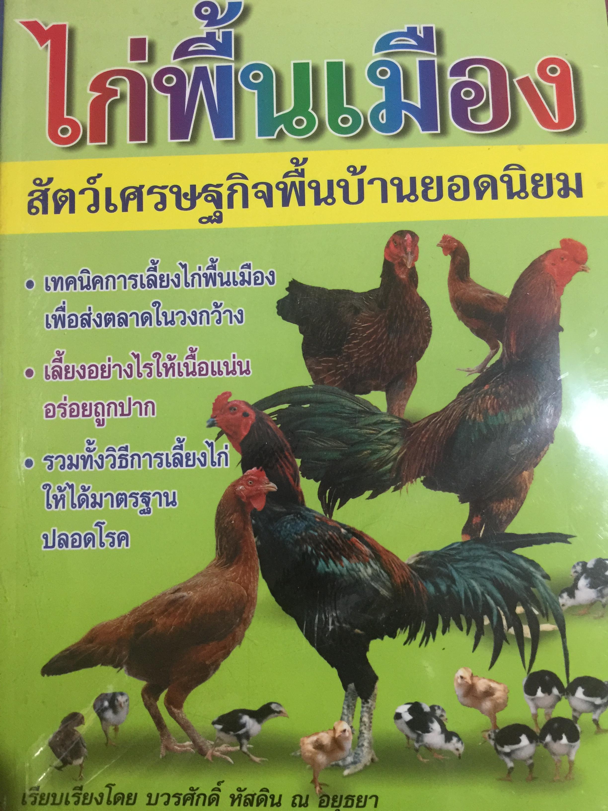 ไก่พื้นเมือง สัตว์เศรษฐกิจพื้นบ้านยอดนิยม เทคนิคการเลี้ยงไก่พื้นเมือง เพื่อส่งตลาดในวงกว้าง. เลี้ยงแย่างไรให้เนื้อแน่น อร่อยถูกปาก รวมทั้งวิธีการเลี้ยงไก่ให้ได้มาตรฐาน ปลอดโรค เรียบเรียงโดย บวรศักดิ์ หัสดิน ฯ. อยุธยา 0 กก.