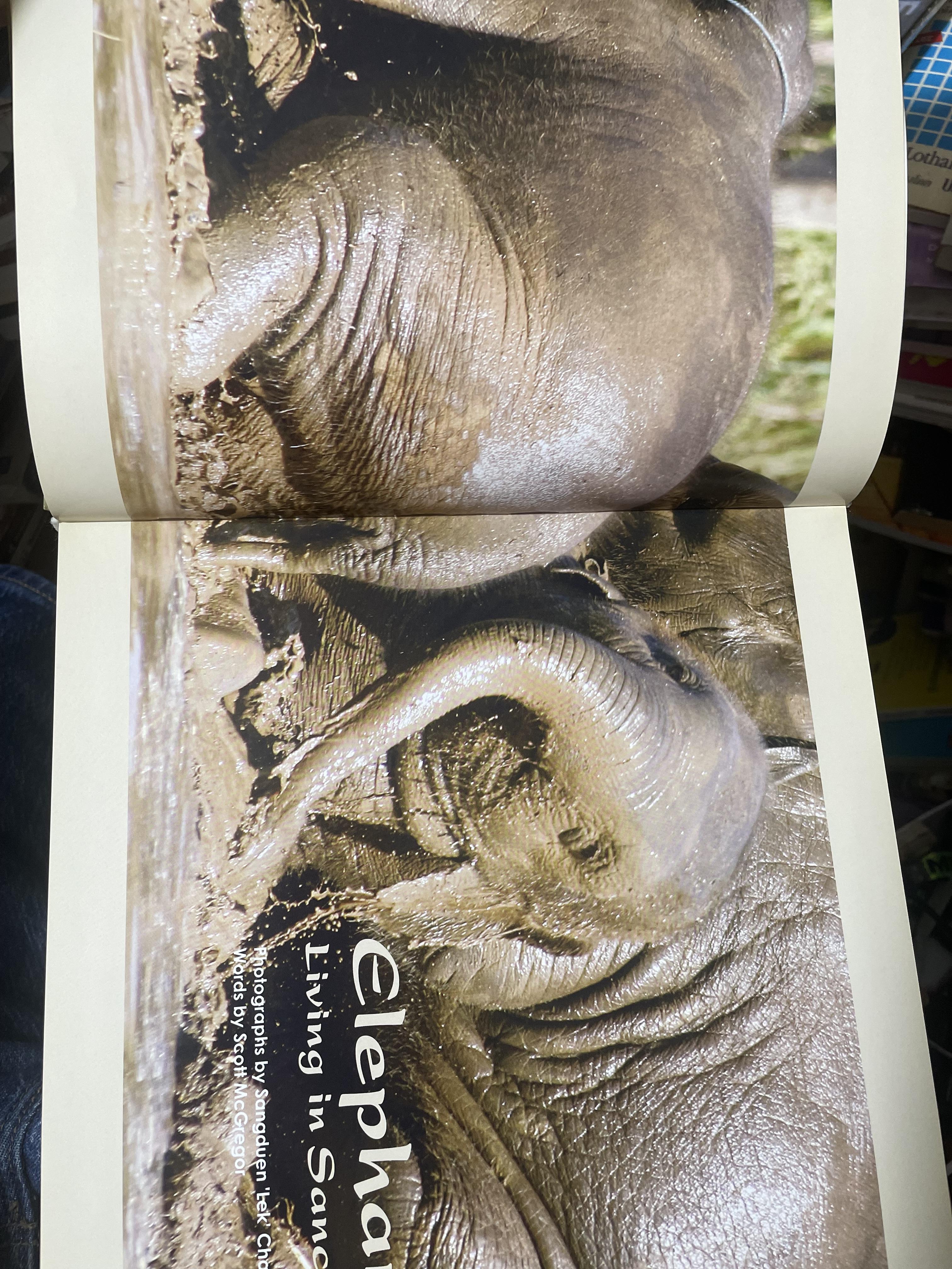 Elephants Living in Sanctuary 3 กก.