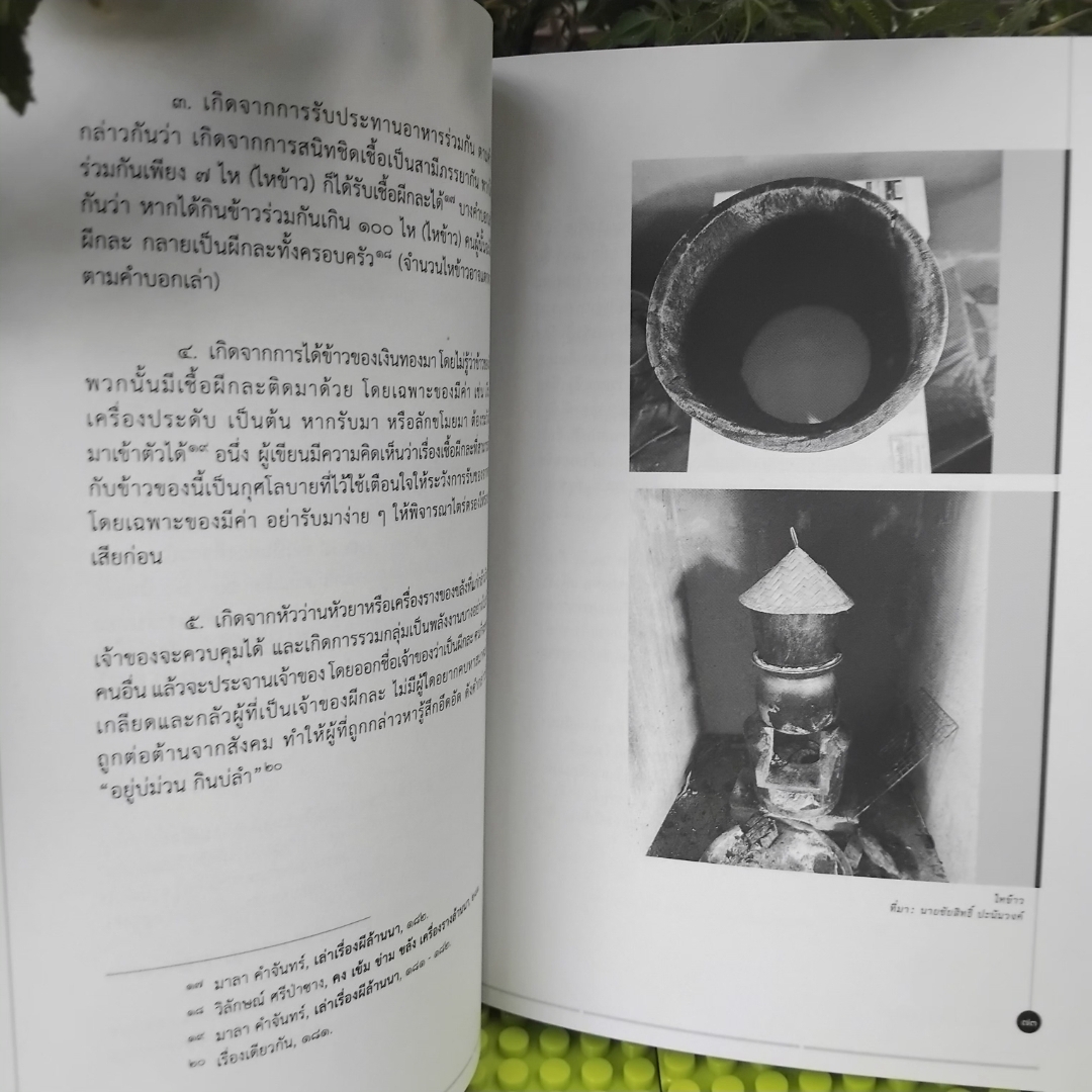 ผีในวัฒนธรรมไทย โดย กรมศิลปากร รวมบทความจากผู้ทรงคุณวุฒิหลากสาขาวิชา มือ1 พิมพ์เพียง 1000 เล่ม