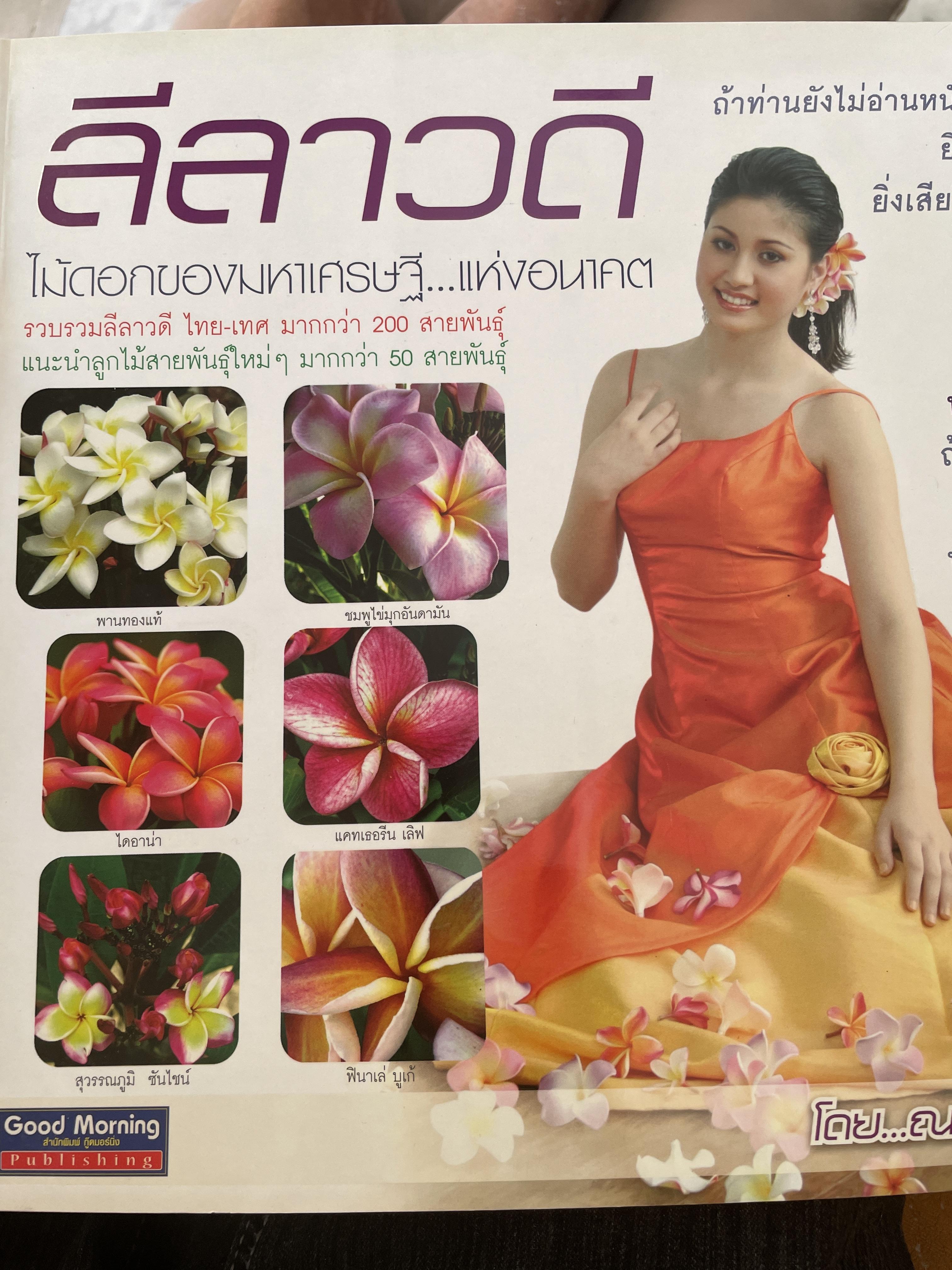ลีลาวดี ไม้ดอกของมหาเศรษฐี…แห่งอนาคตโเย ณญ ณัฐจักร์ 3 กก.