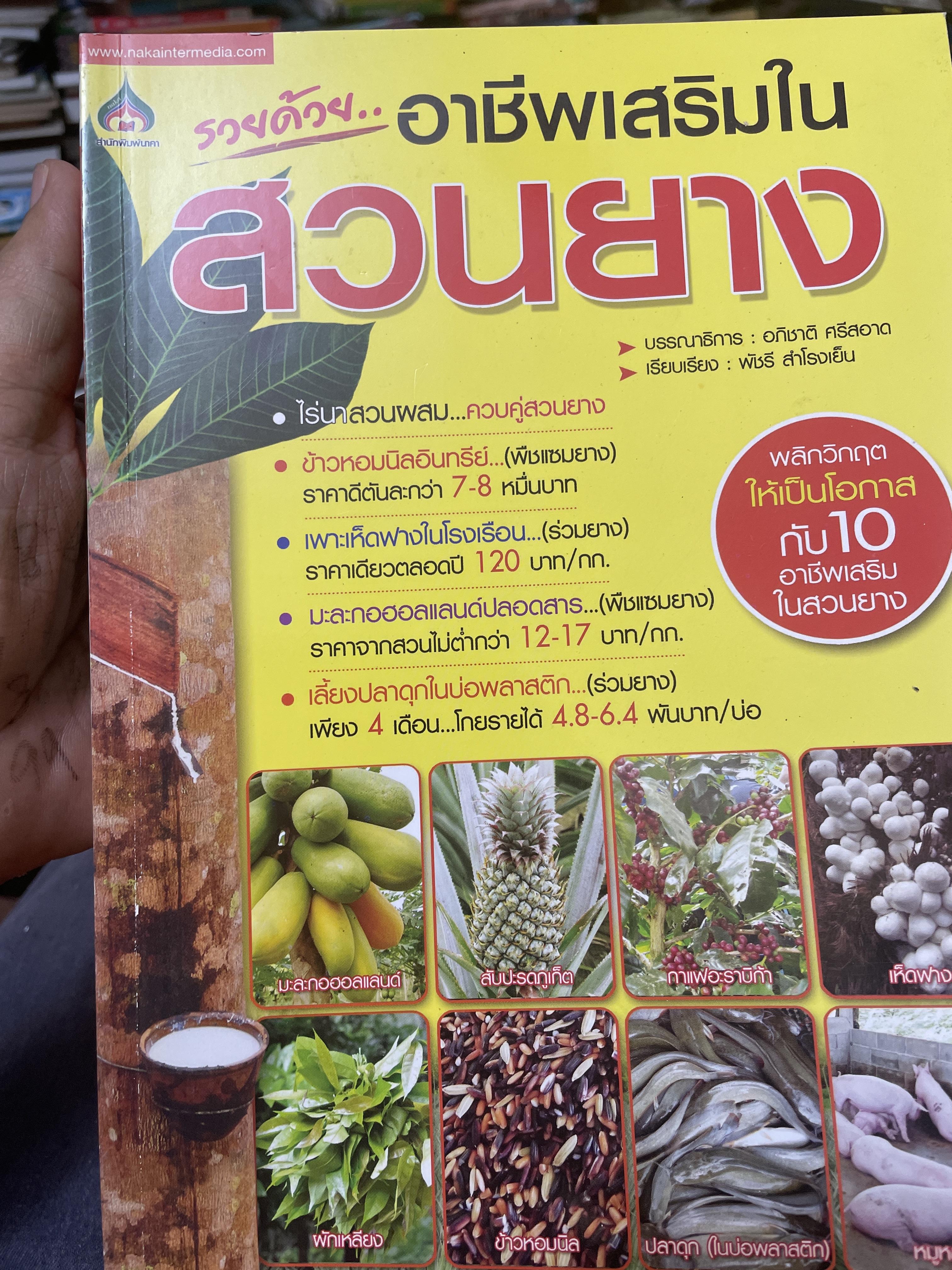 รวยด้วยอาชีพเสริมในสวนยาง 3 กก.