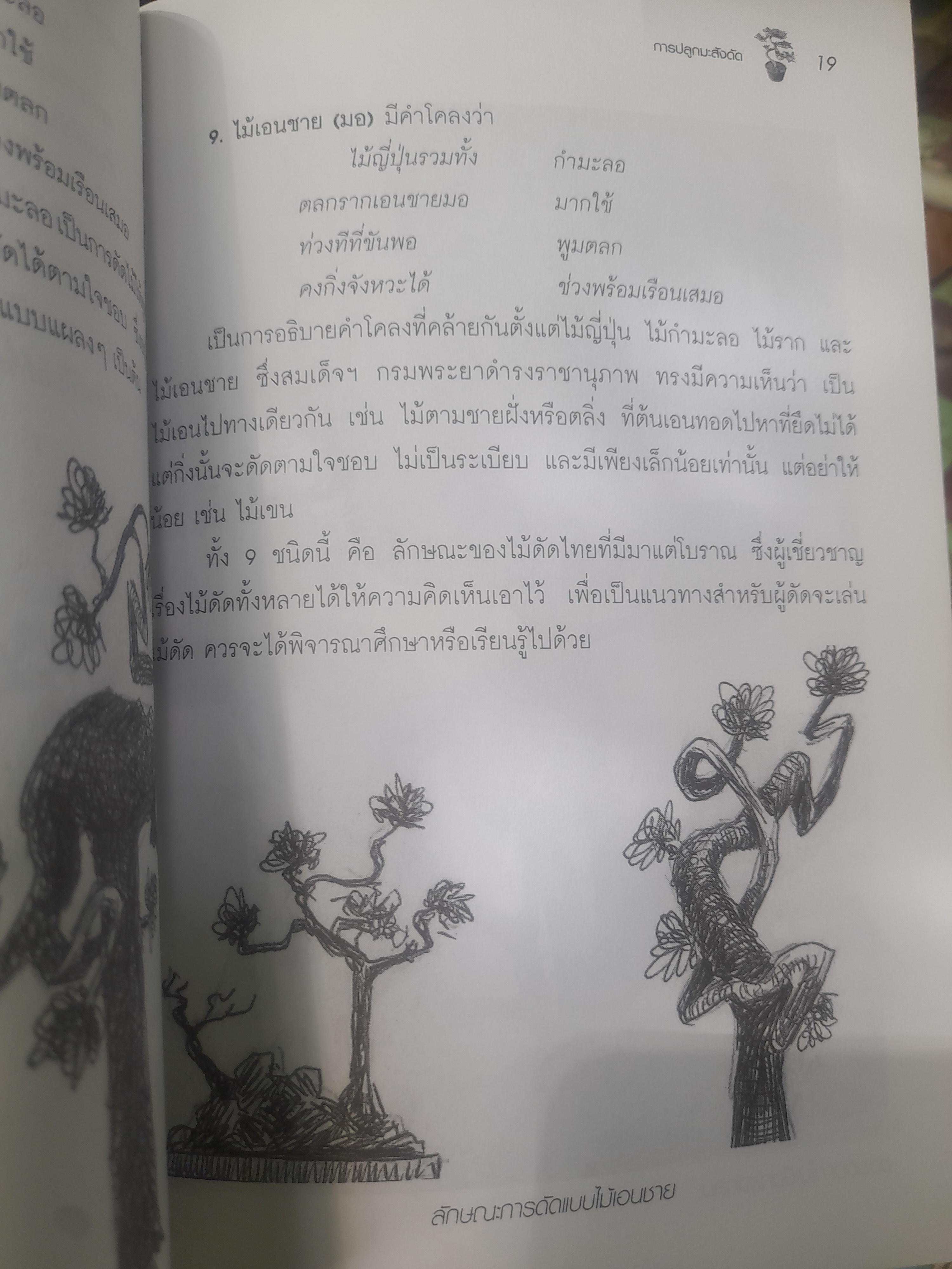 ไม้ดัด การปลูกมะสังดัด โดย ยุพยงษ์ ทิพสิงห์ เนื้อหาละเอียดตั้งแต่เริ่มปลูกจนถึงการดูแลมะสังดัด
