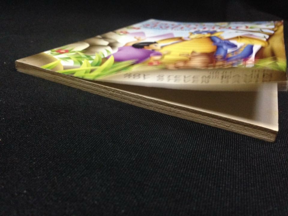 วีรบุรุษมังกรน้อย DRAGON HERO