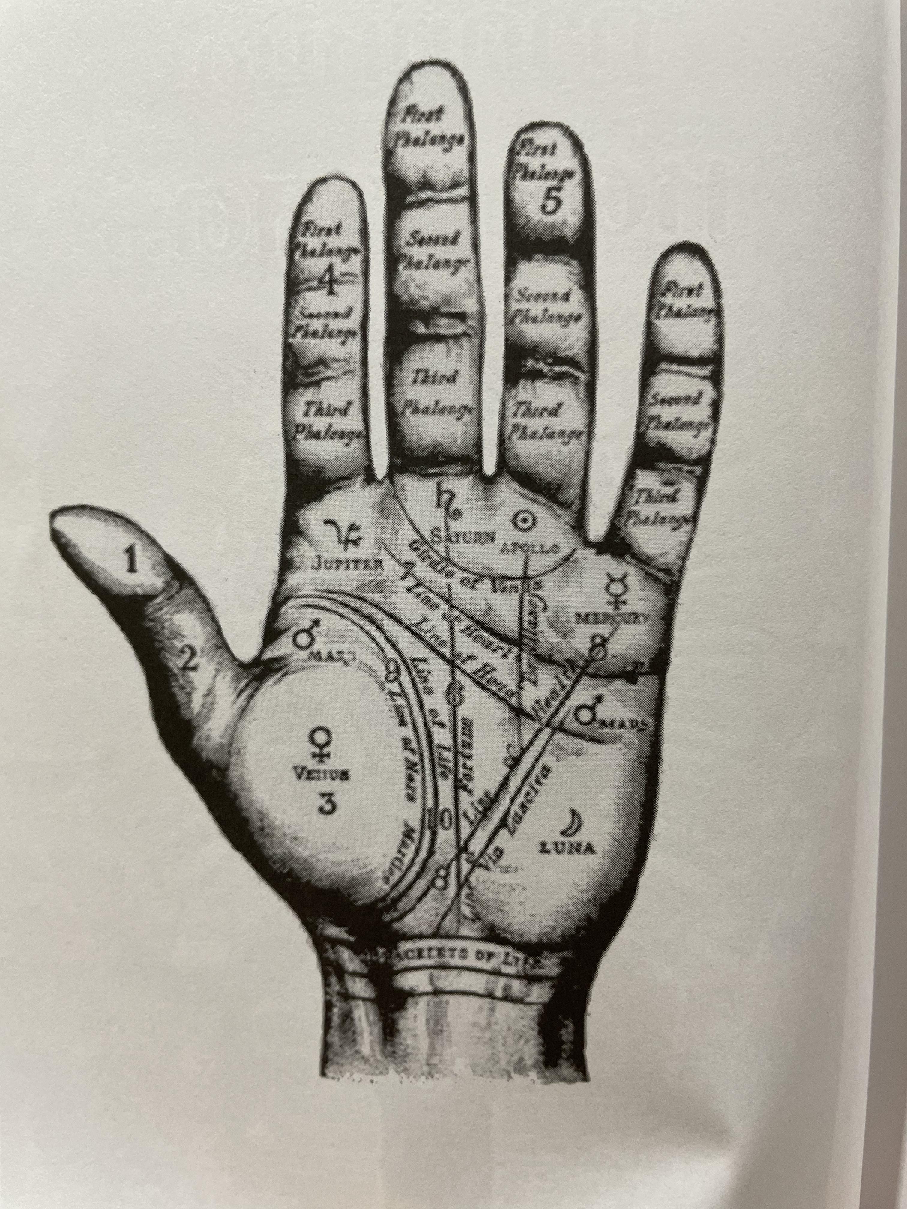 คัมภีร์หัตถศาสตร์ และหัตถพยากรณ์ The Book Of FATE. & Fortune ผู้เขียน ตีโร 0 กก.