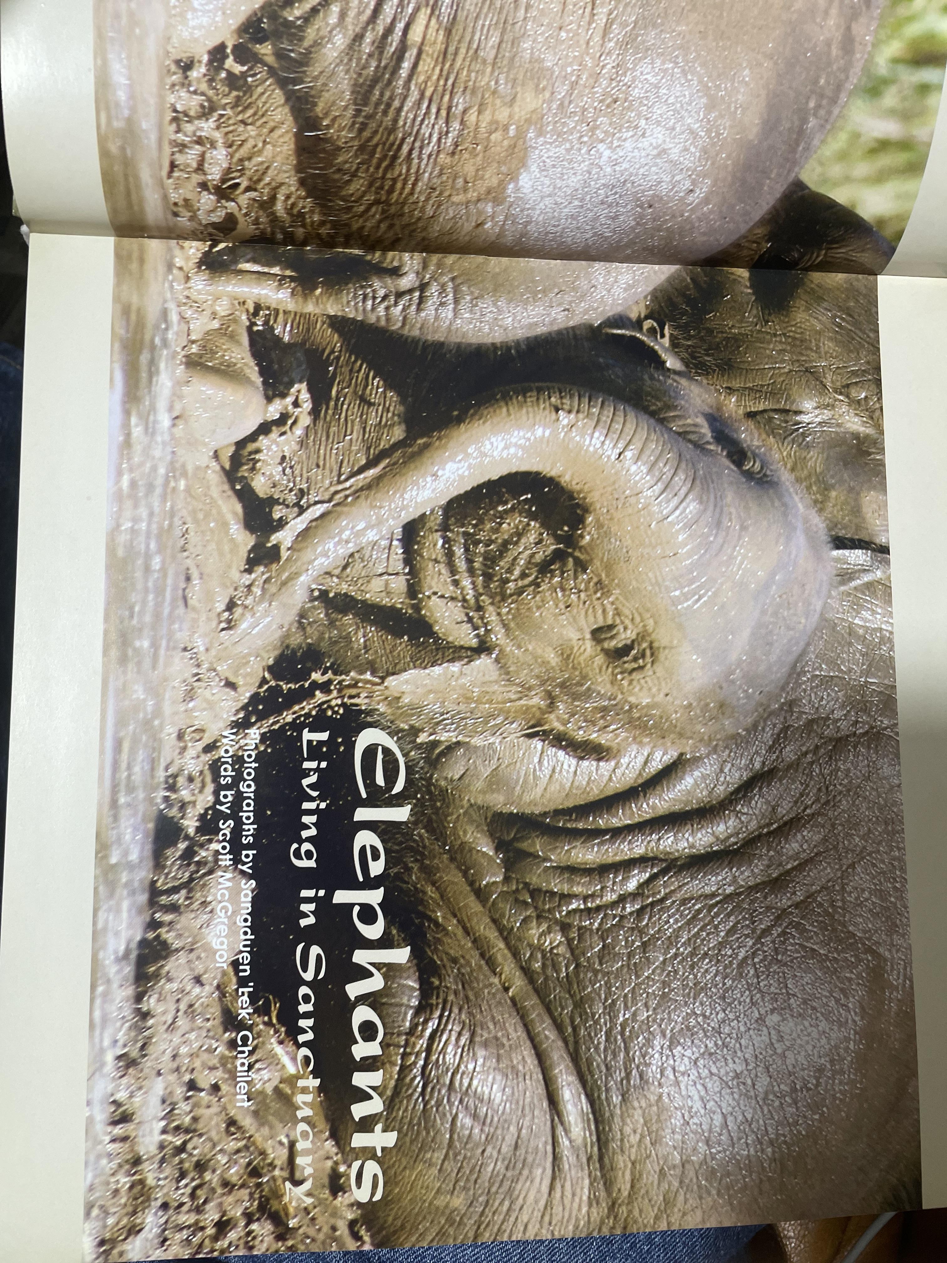 Elephants Living in Sanctuary 3 กก.