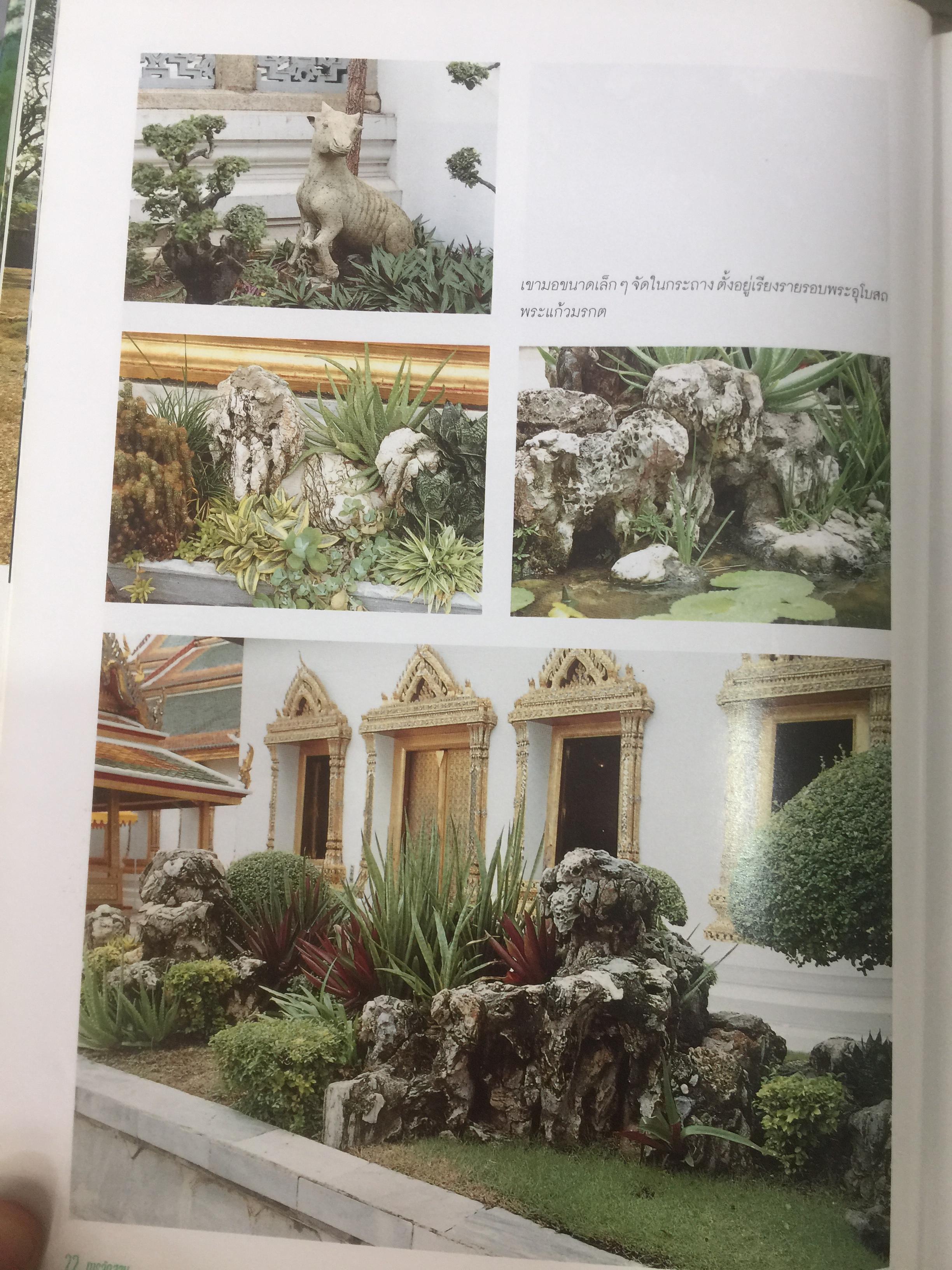 การจัดสวน GARDEN DESIGN ผู้เขียน พรรณเพ็ญ ฉายปรีชา. สำนักพิมพ์บ้านและสวน. 0 กก.