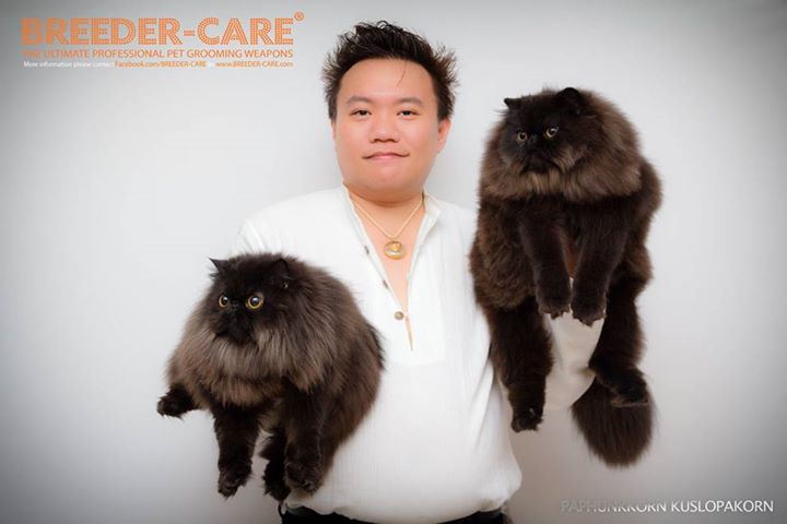 SHOW & TRAVEL KIT (SH+LH)