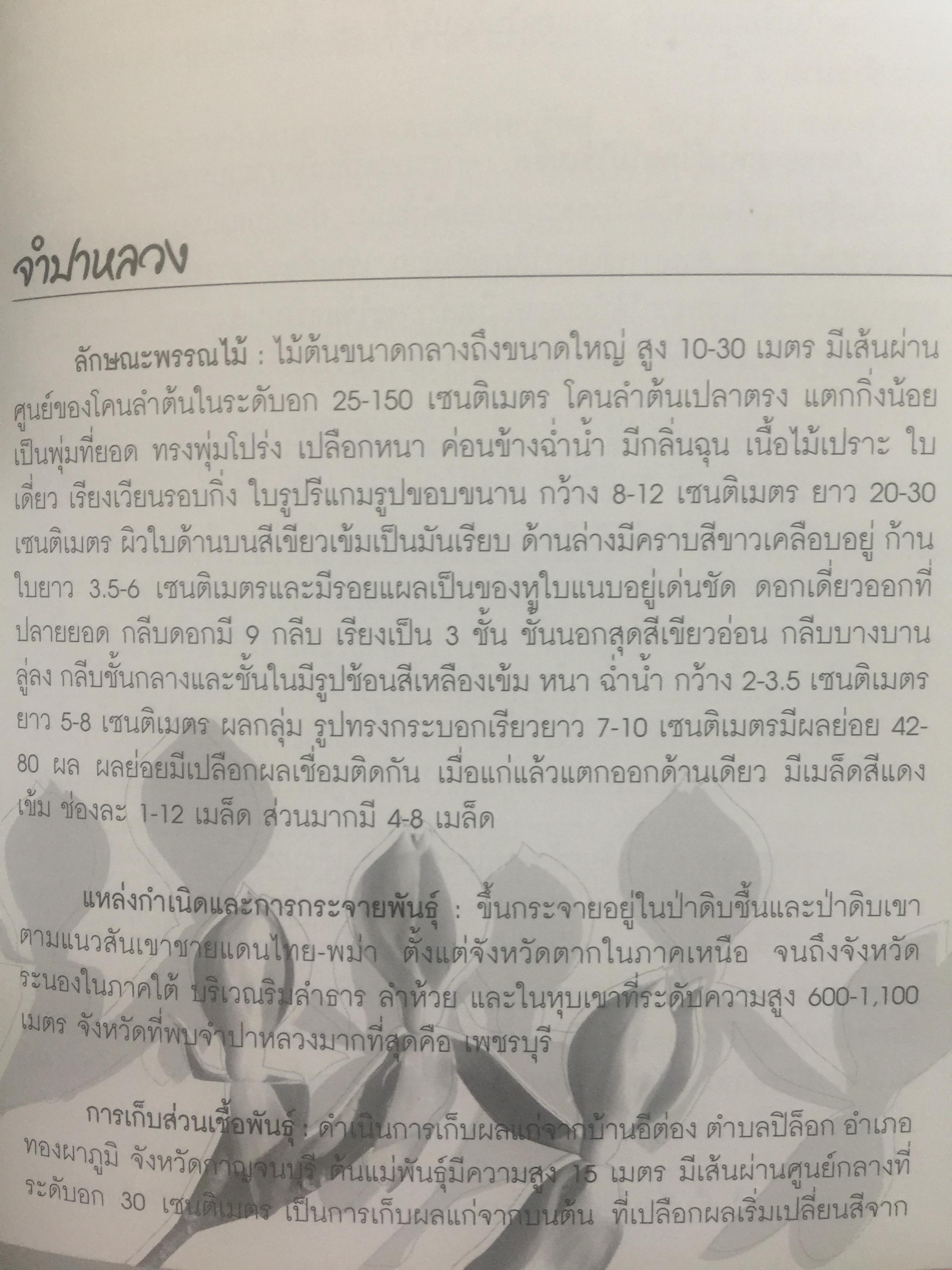 พรรณไม้ดอกหอมพื้นเมือง. ที่หายากและใกล้สูญพันธุ์ในประเทศไทย. ผู้เขียน ดร.ปิยะ เฉลิมกลิ่น 0 กก.