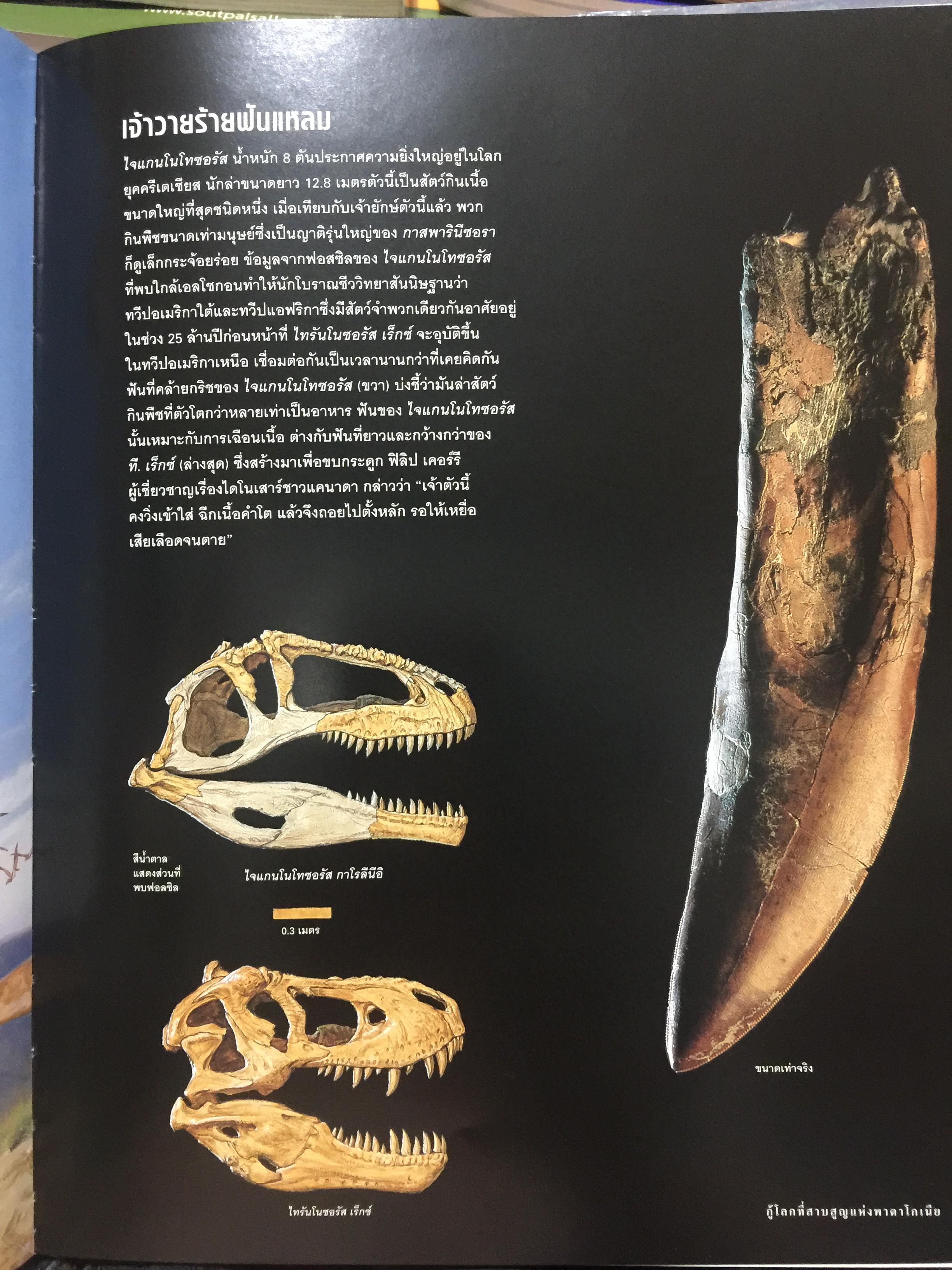 โฉมหน้าใหม่ ไดโนเสาร์. NATIONAL GEOGRAPHIC. ฉบับพิเศษสุดเพื่อนักสะสม 2,500 กรัม