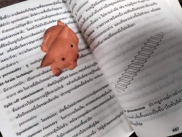 พจนานุกรมจิตวิทยาฉบับสมบูรณ์ Dictionary Psychology ฉบับ อังกฤษ-ไทย