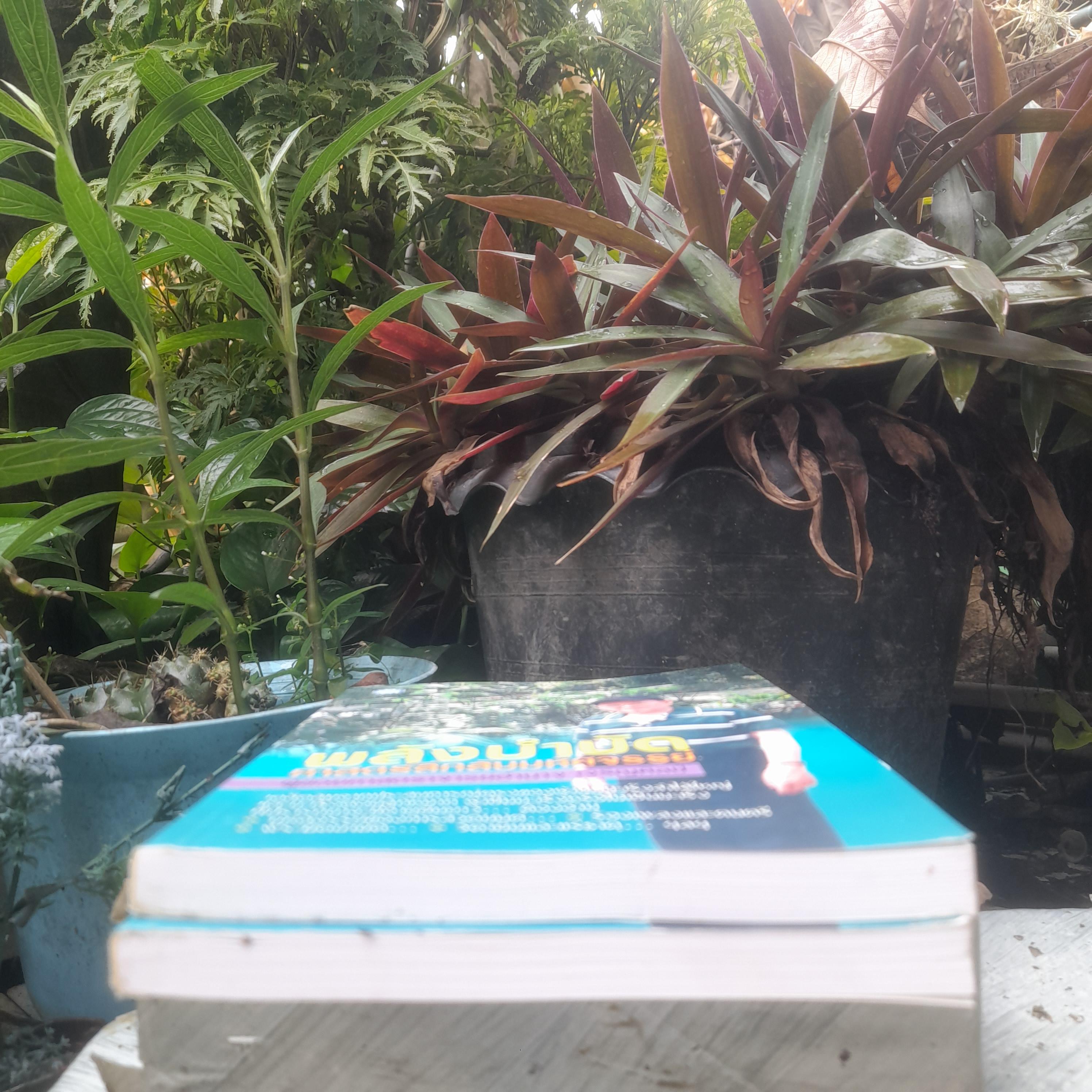 พลังบำบัด ศาสตร์ลึกลับมหัศจรรย์ โดย ผช.ศ. อำนาจ เจริญศิลป์ หนังสือของผู้ที่ปรารถนาจะมีอายุยืนยาว มือหนึ่งครับ