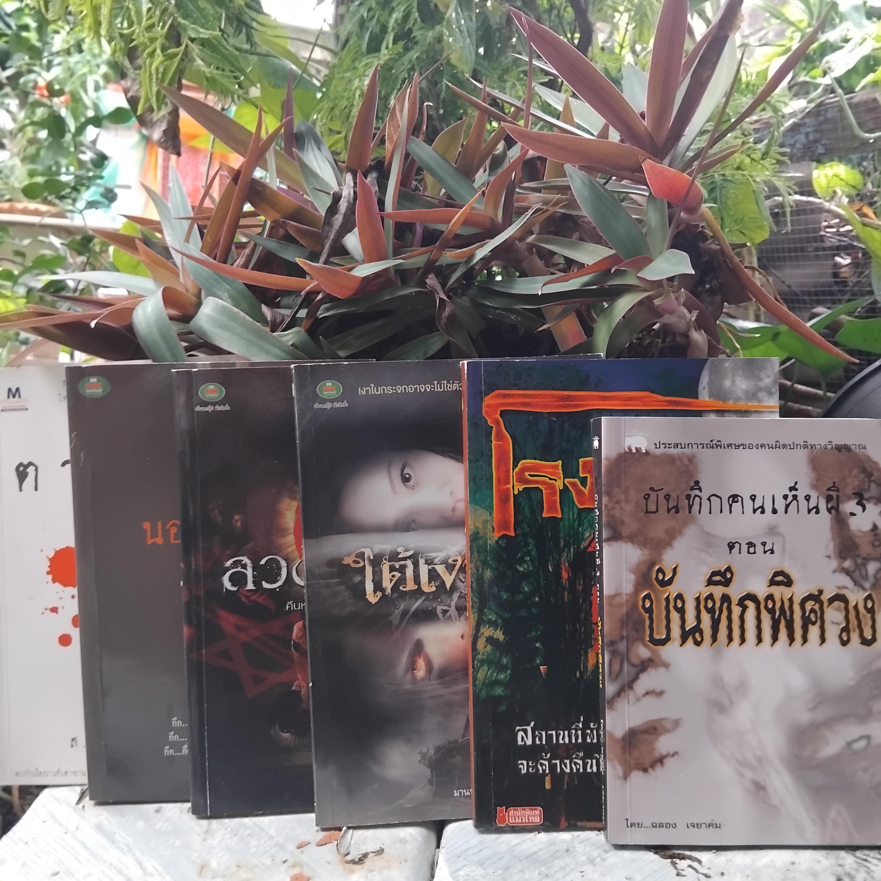 รวมนิยาย เรื่องสั้น เรื่องผีสุดสยองขวัญไทย ทุกเล่มเป็นหนังสือมือหนึ่งสต็อกโกดังหนังสือครับ