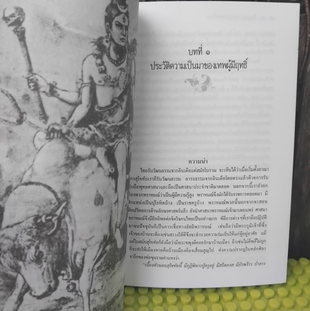 พื้นฐานการอ่านวรรณคดีไทย โดย เกื้อพันธุ์ นาคบุปผา หนังสือหายากใช้เป็นหนังสืออ้างอิงวรรณคดีไทยได้ มือ1