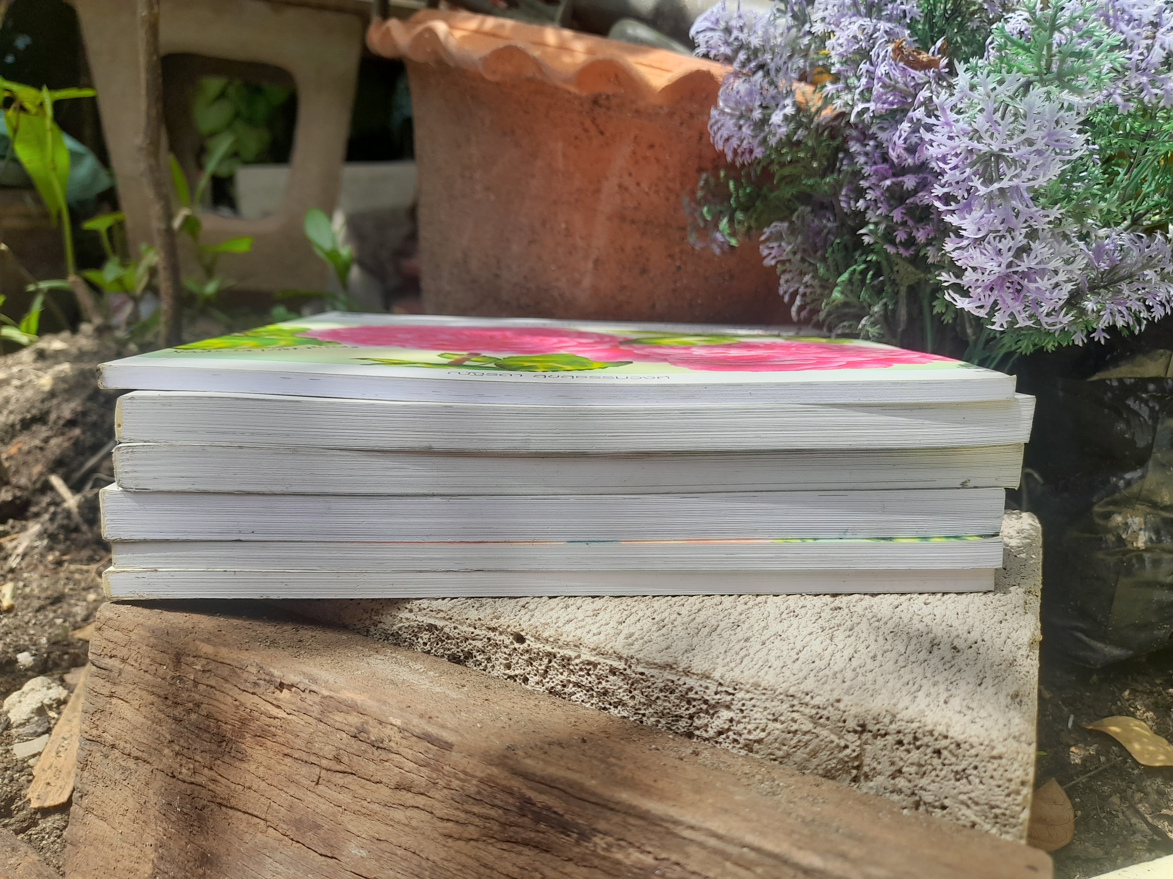 หนังสือเทคนิคและขั้นตอนการวาดสีน้ำอย่างละเอียด