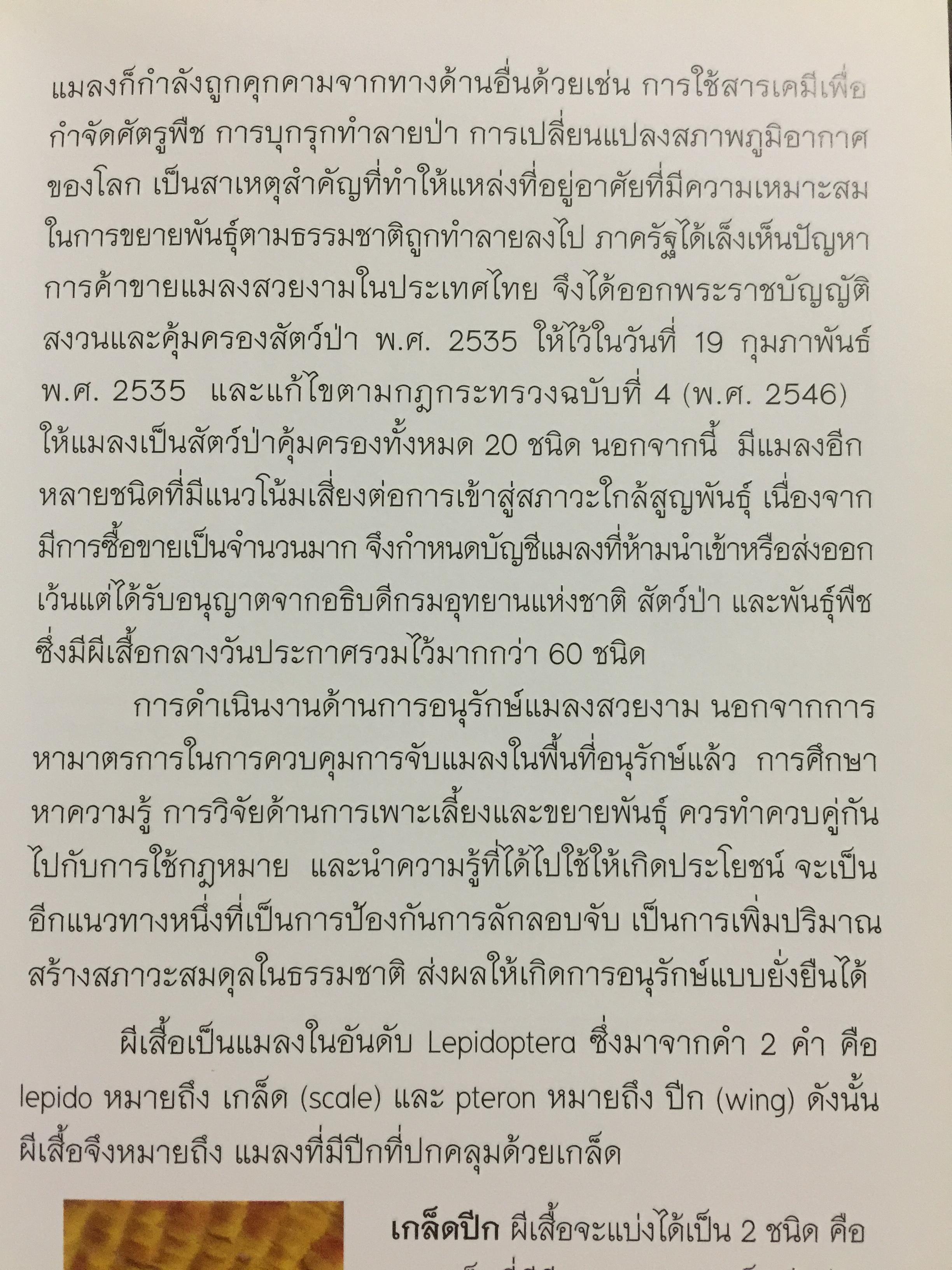 คู่มือการเพาะเลี้ยงผีเสื้อ. จัดทำโดย สำนักวิจัยการอนุรักษ์ป่าไม้และพันธุ์พืช กรมอุทยานแห่งชาติ สัตว์ป่า และพันธุ์พืช 0 กก.