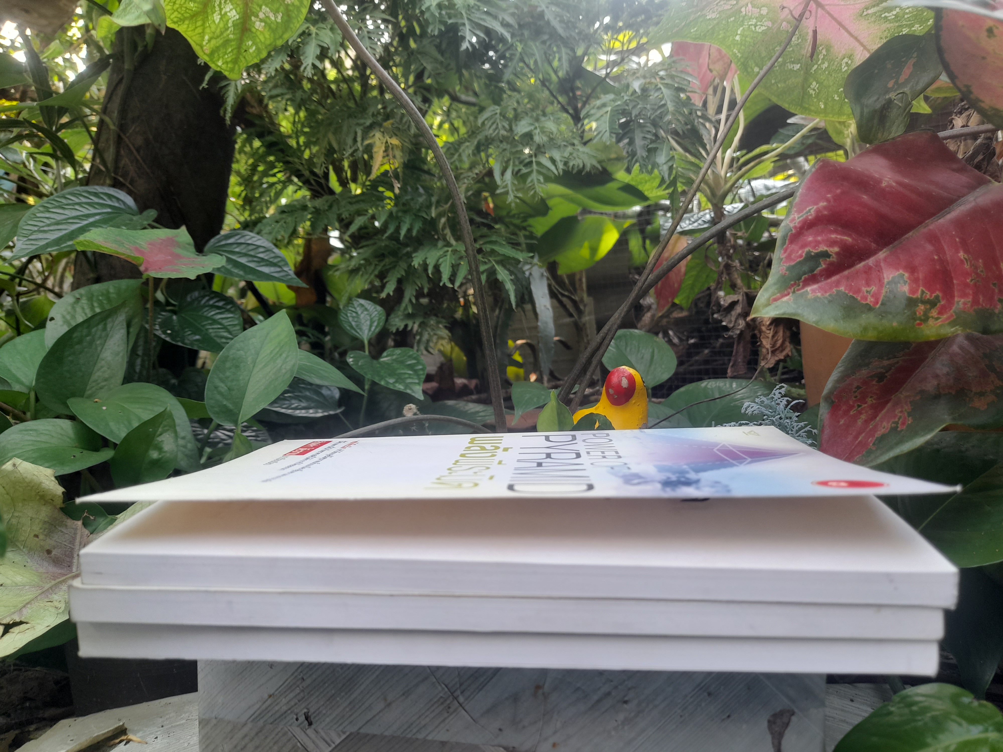 พลังพีระมิด Power of PYRAMID โดย สิงห์คำ โต๊ะงาม งานเขียนที่นักวิทยาศาสตร์ได้ทำวิจัยออกมา