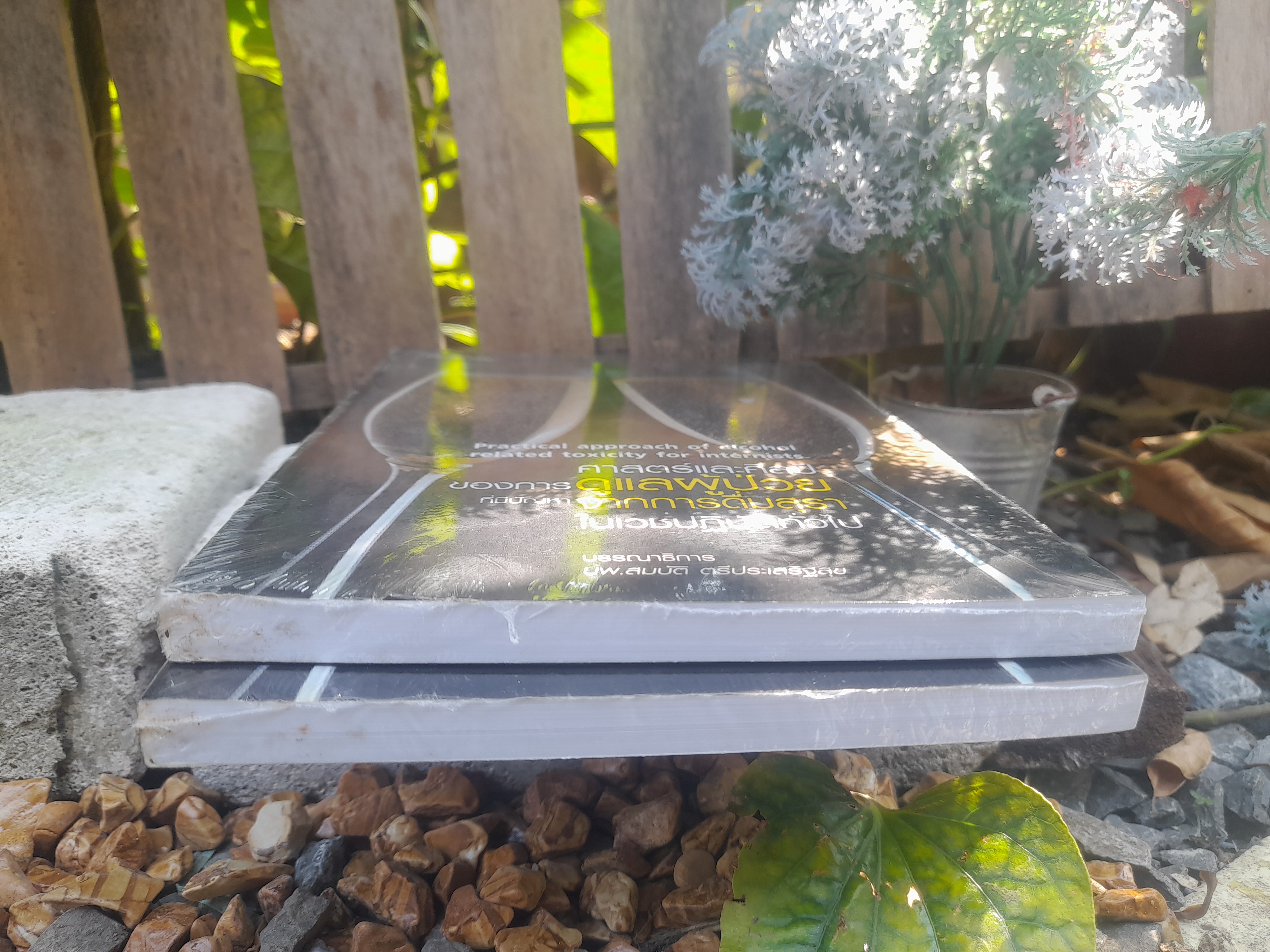 ศาสตร์และศิลป์ของการดูแลผู้ป่วยที่มีปัญหาจากการดื่มสุราในเวชปฏิบัติทั่วไป