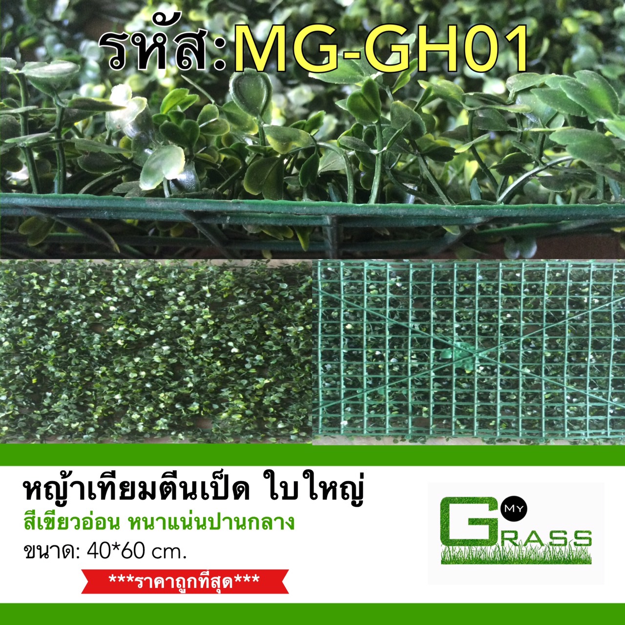 หญ้าตีนเป็ด หนาแน่นปานกลาง(40x60cm.)