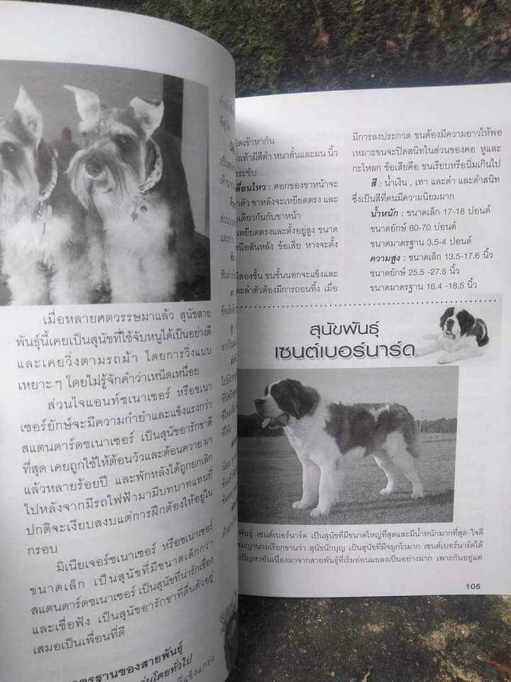 คู่มือการเลี้ยงมะหมาน่ารัก เล่ม 1-2