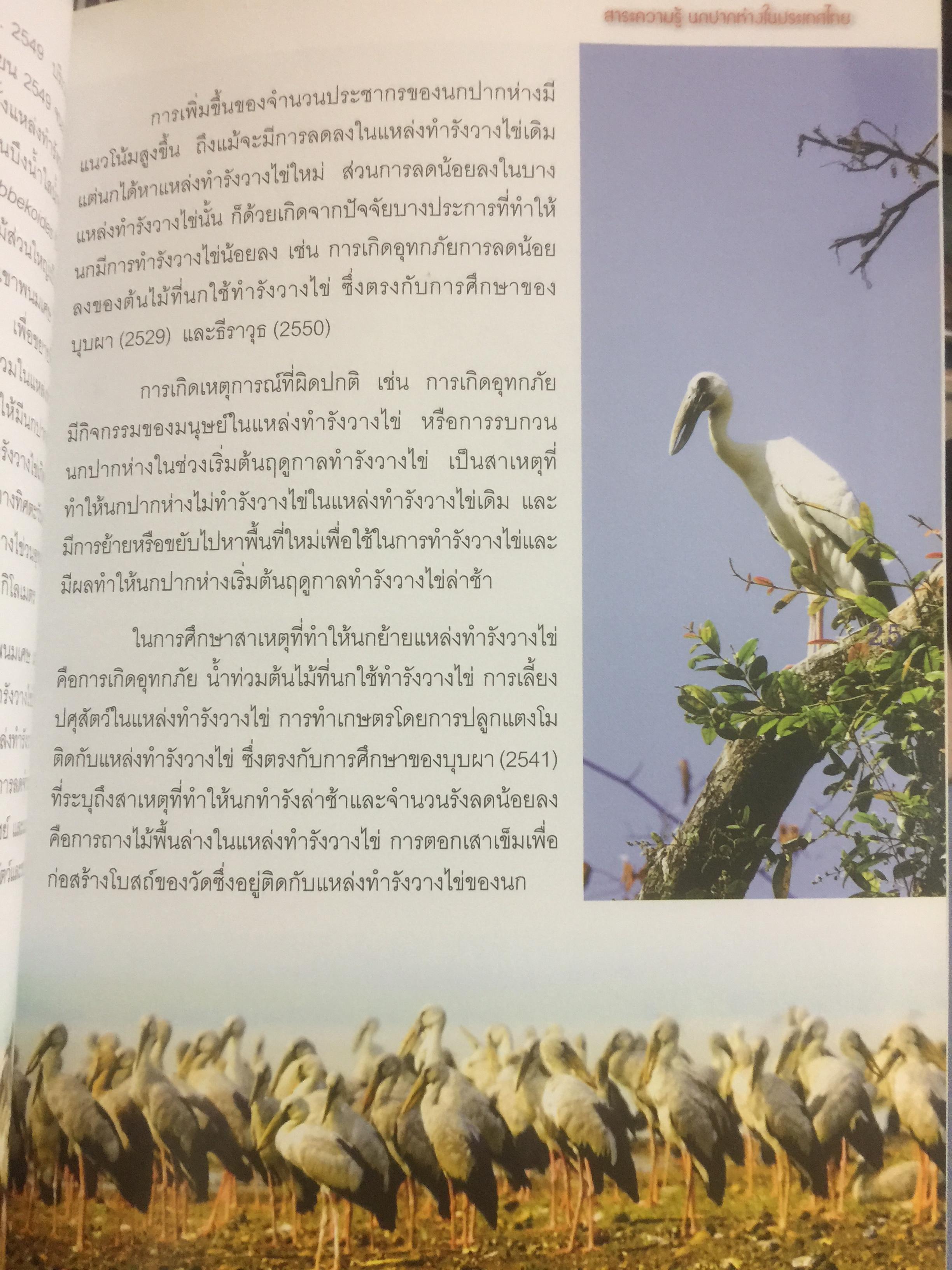 สาระความรู้ นกปากห่าง ในประเทศไทย. ผู้เขียน ไกรรัตน์ เอี่ยมอำไพและคณะ 0 กก.