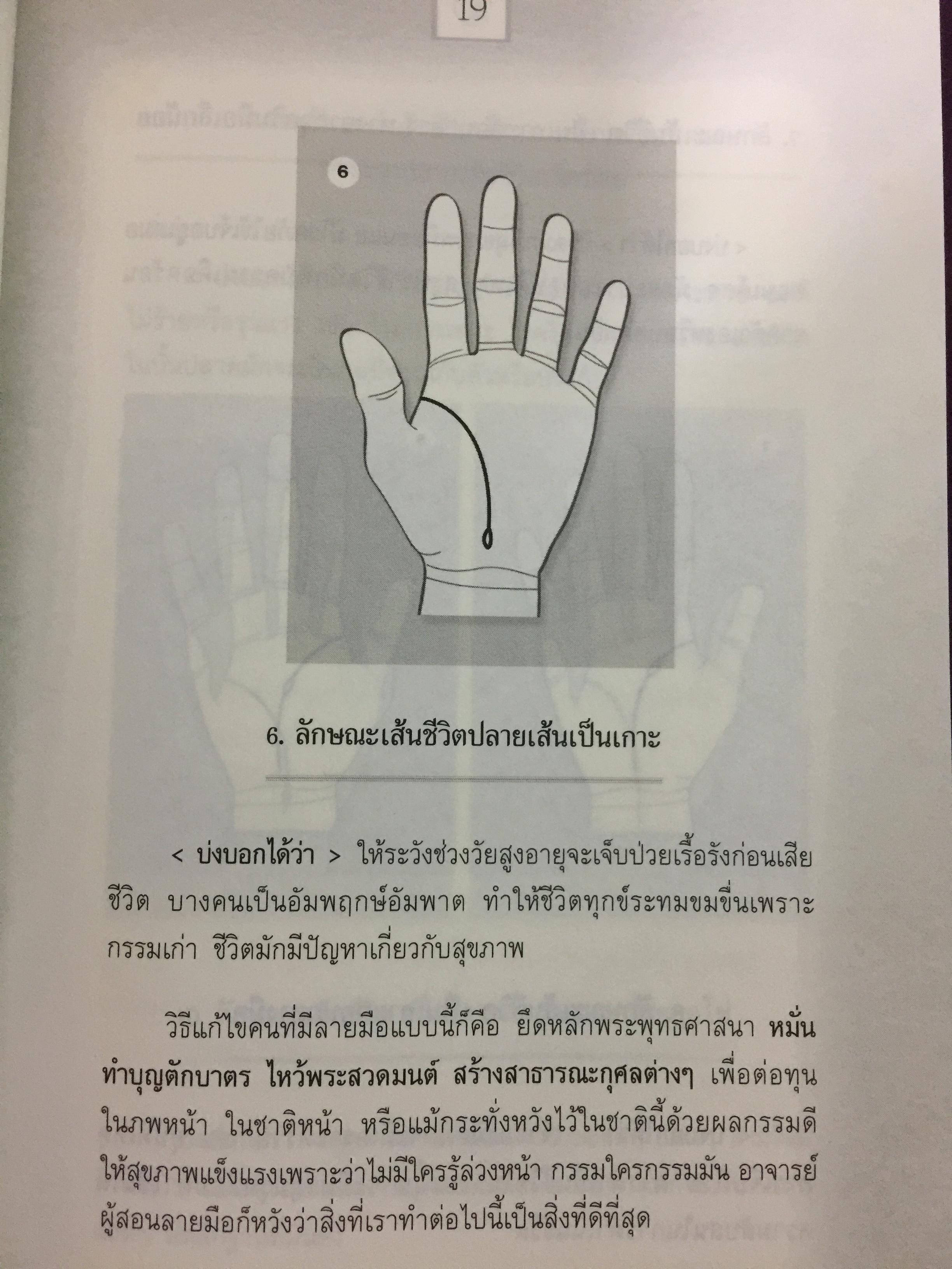 ลายมือบอกชีวิต ลิขิตอนาคต. ลักษณะเส้นสายบนฝ่ามือสามารถบอกอะไรได้หลายอย่าง คู่ครอง บุคลิก 0 กก.