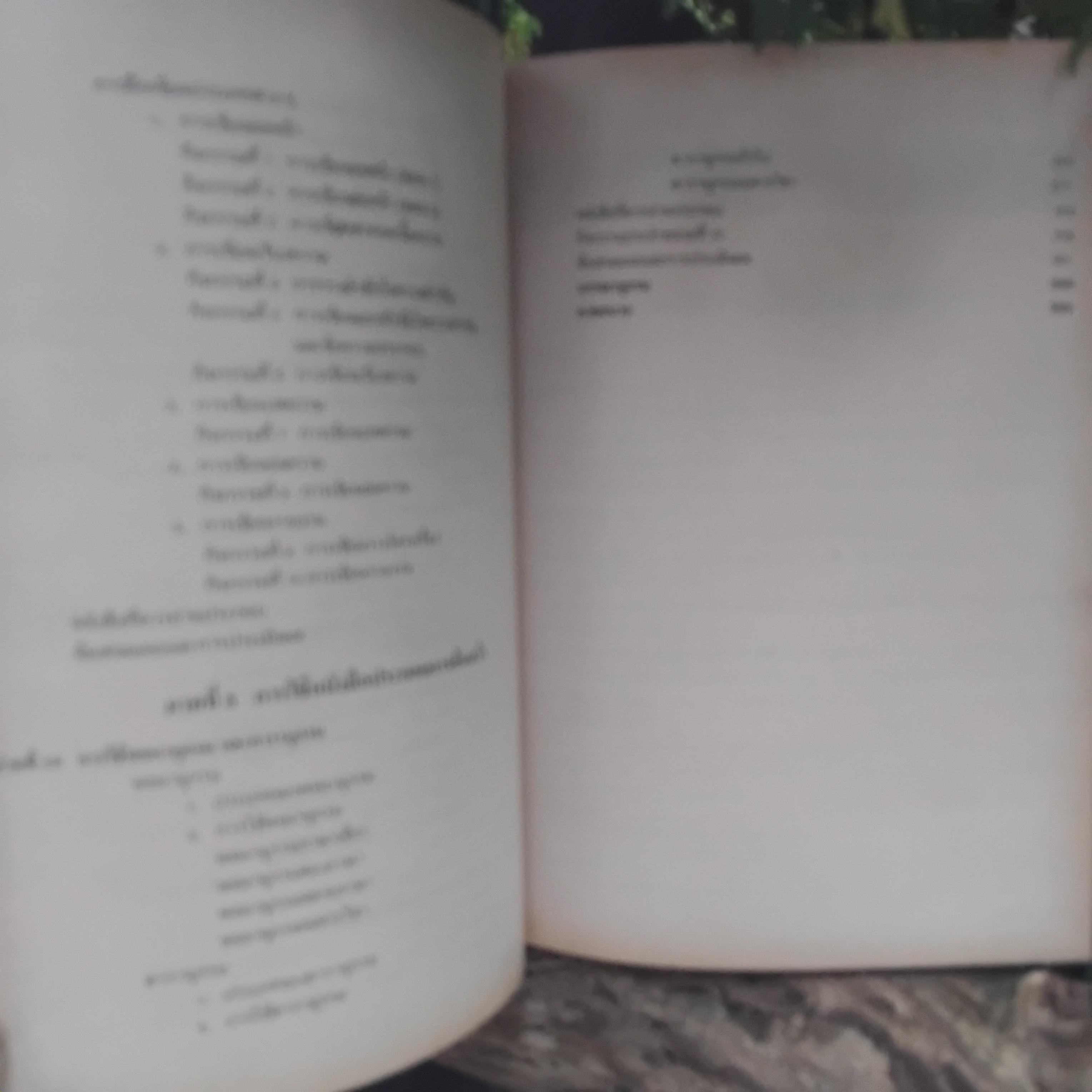ความรู้และทักษะทางภาษา โดย ผช.ศ. สนิท ตั้งทวี ความรู้ภาษาไทยที่ครอบคลุมทุกระดับการใบ้ภาษาไทย มือ1