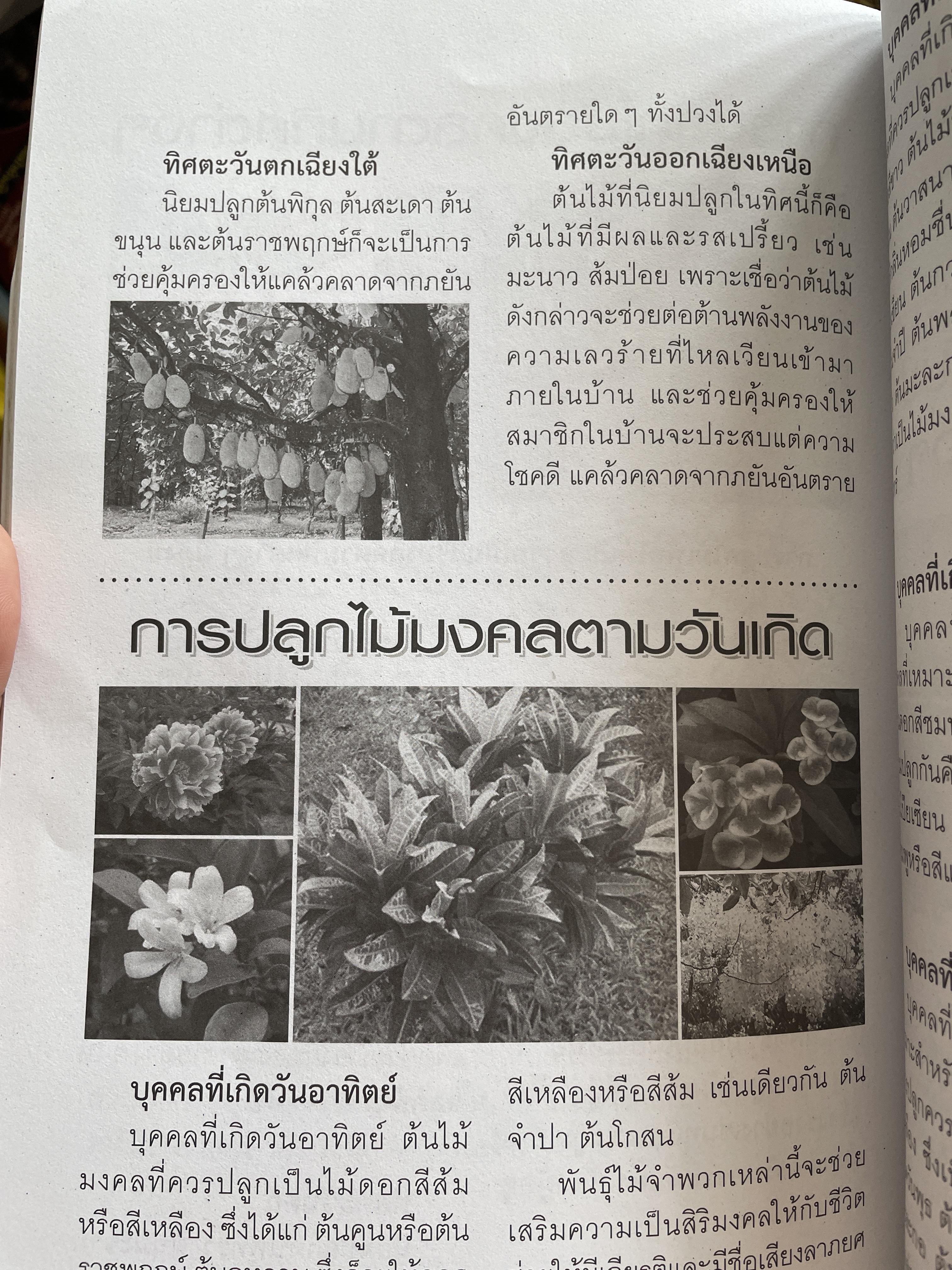 ฮวงจุ้ย ตกแต่งบ้านและสวนหย่อม 800 กรัม