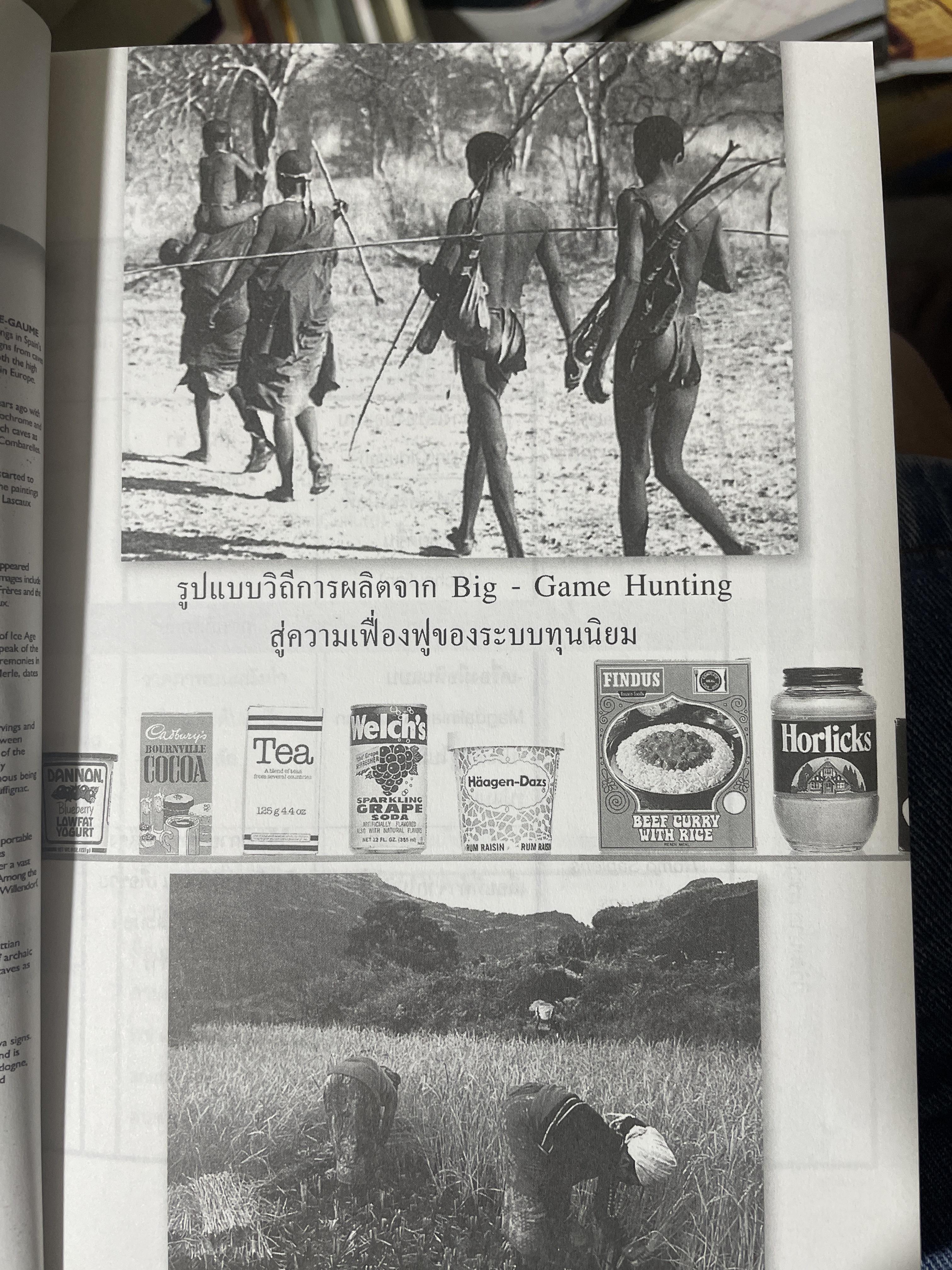 ความหลากหลายของชีวิต ความหลากหลายทางวัฒนธรรม 2,500 กรัม