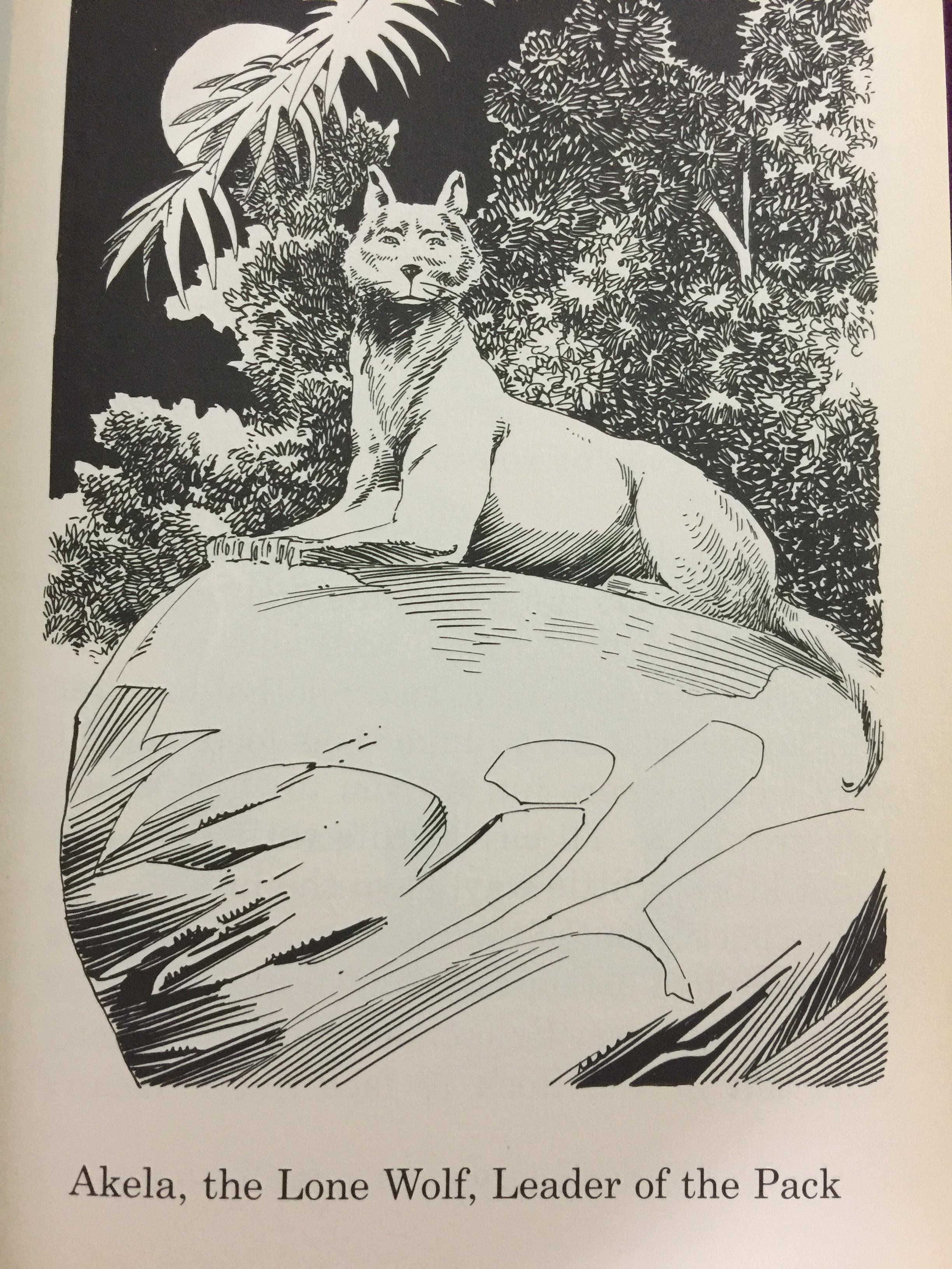 THE JUNGLE BOOK. Great Illustrated Classics. ผู้เขียน Rudyard Kipling 0 กก.